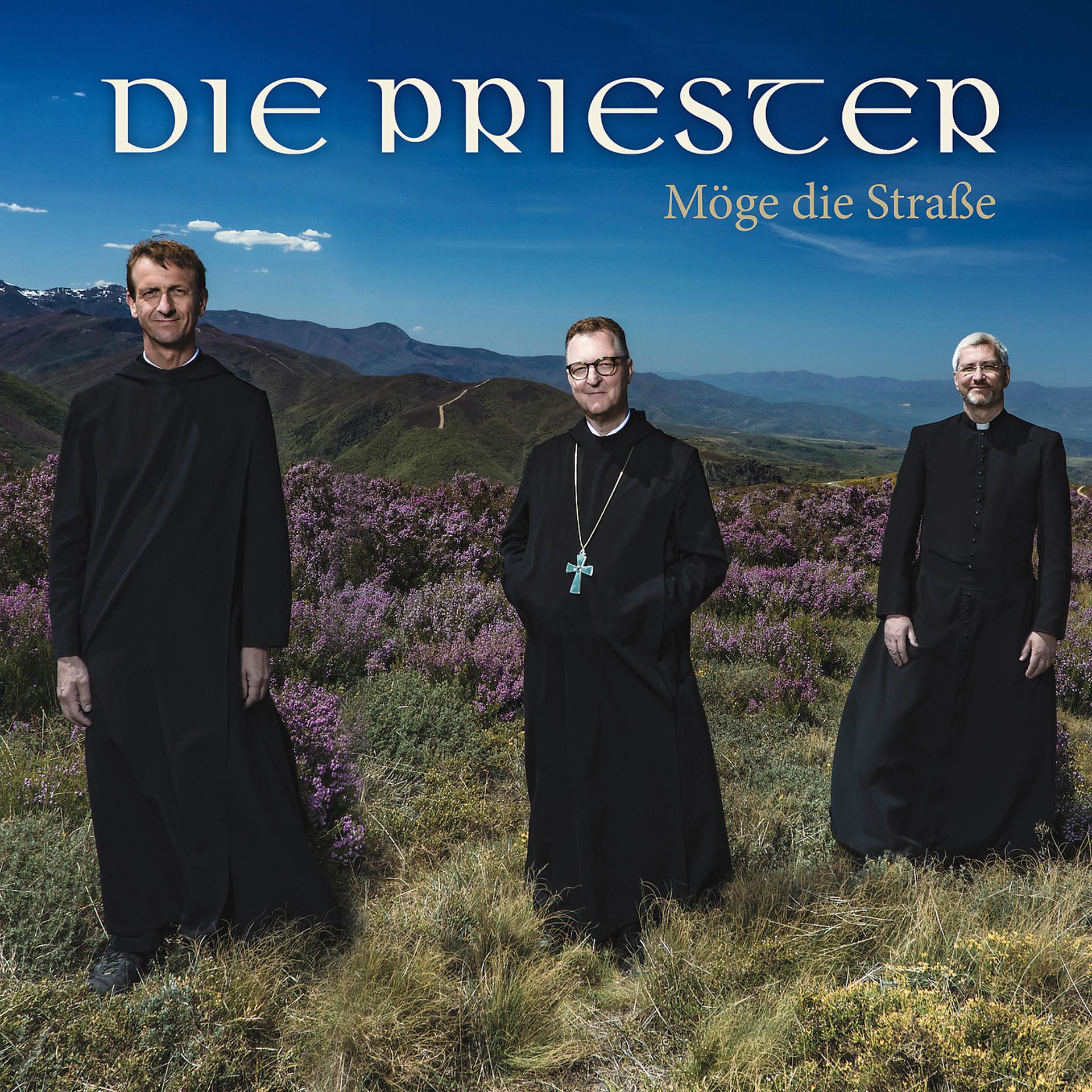 Постер альбома Möge die Straße