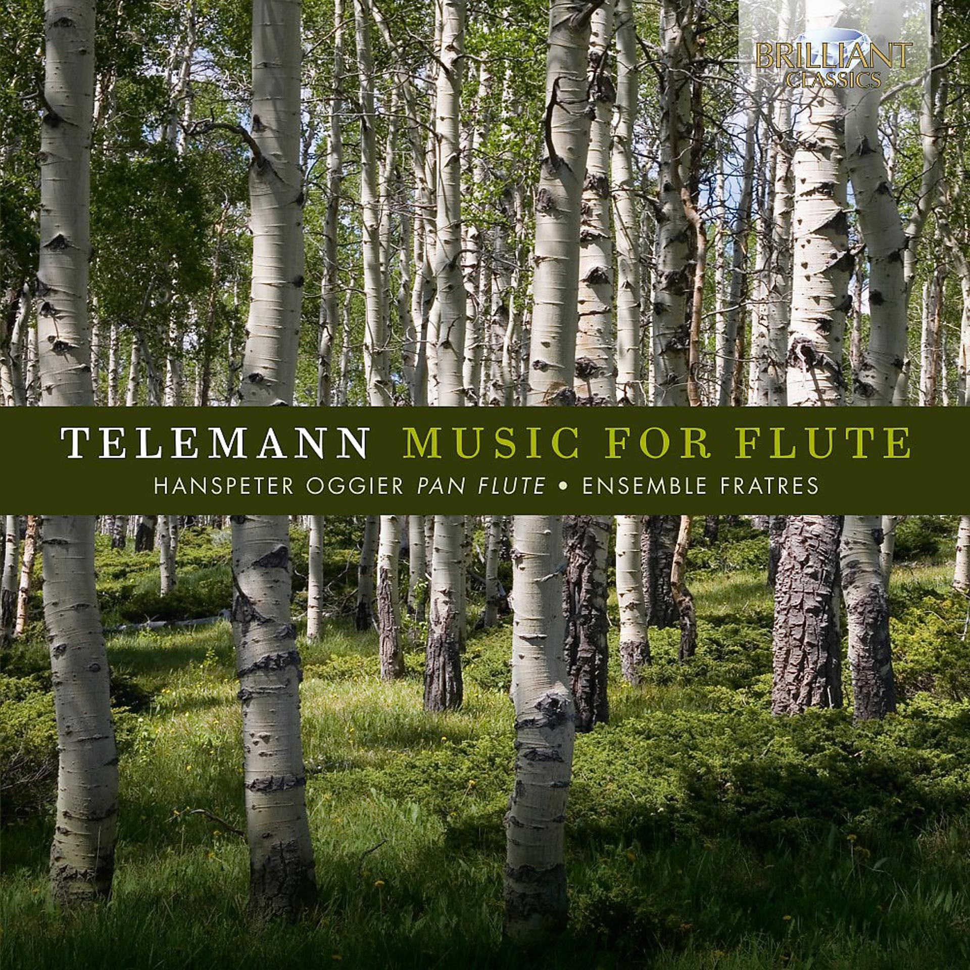 Постер альбома Telemann: Music for Flute
