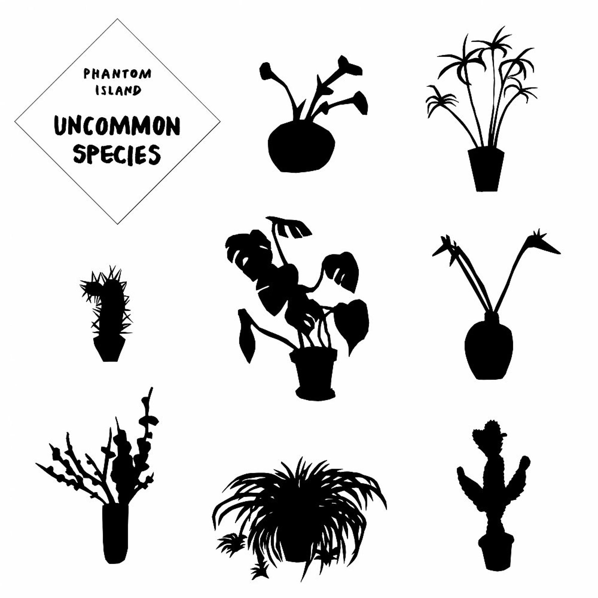 Постер альбома Uncommon Species