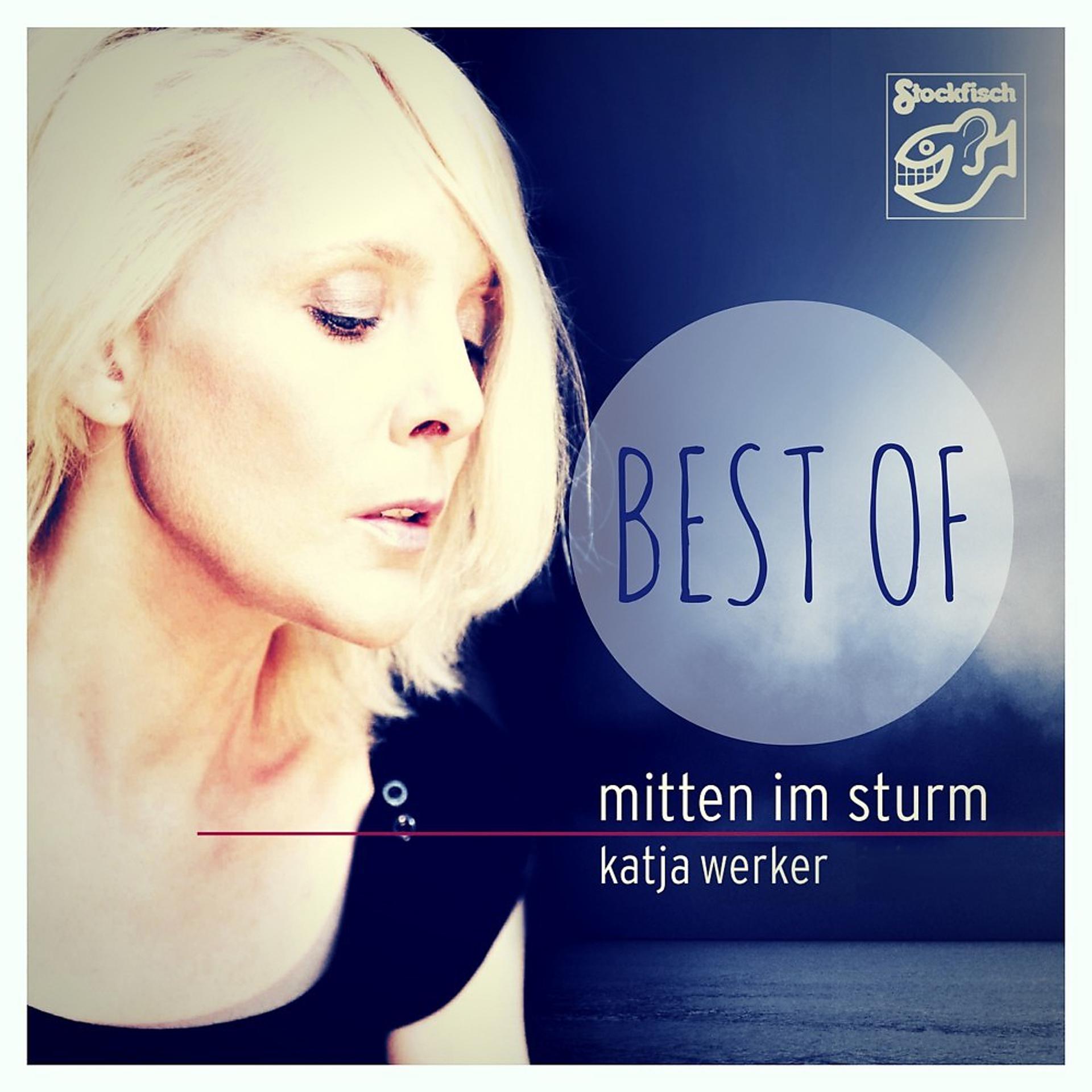 Постер альбома Mitten im Sturm: Best Of
