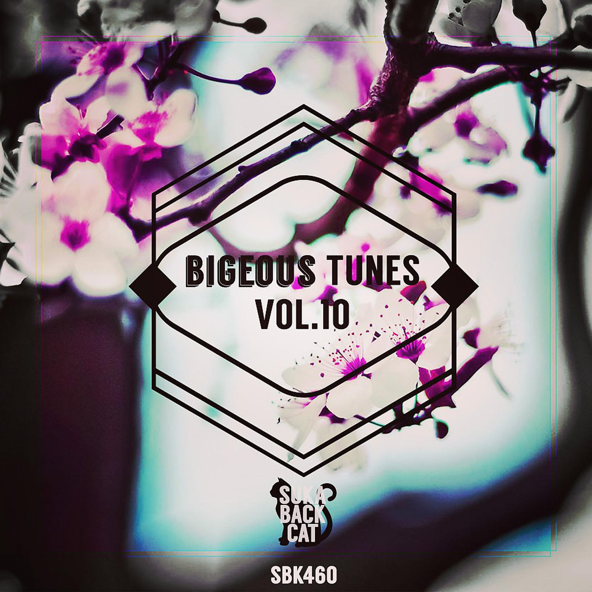 Постер альбома Bigeous Tunes, Vol. 10