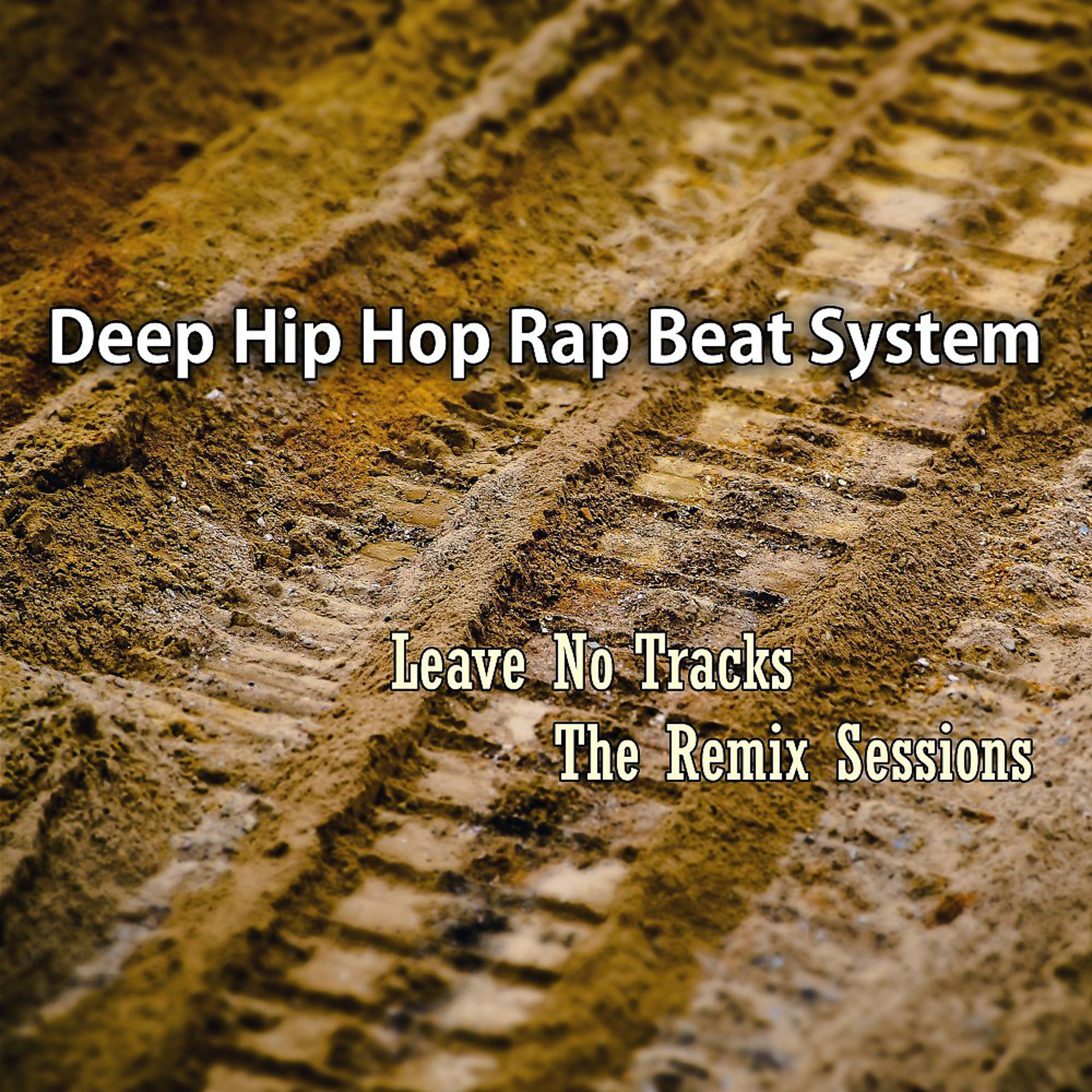 Постер альбома Leave No Tracks: The Remix Sessions