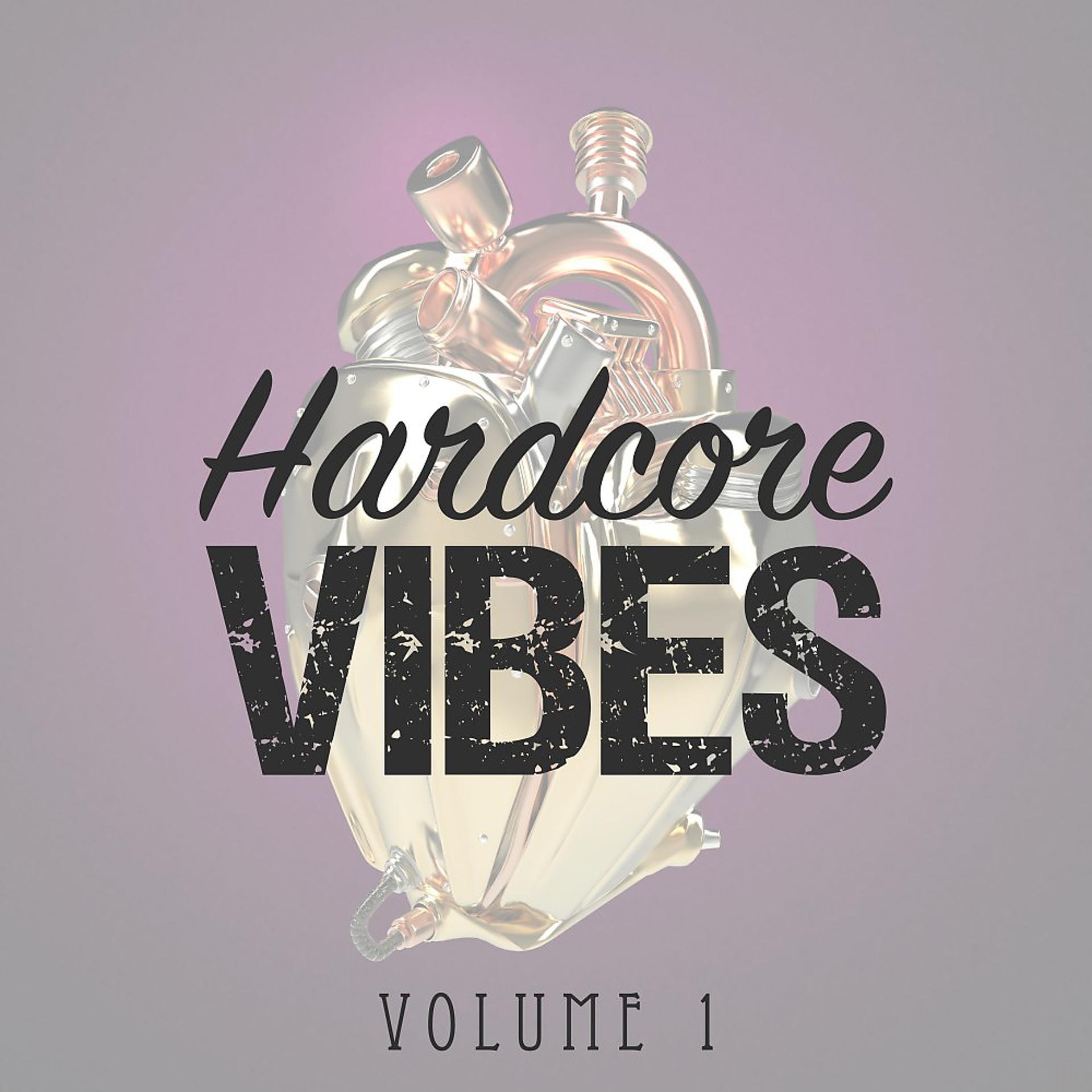 Постер альбома Hardcore Vibes, Vol. 1