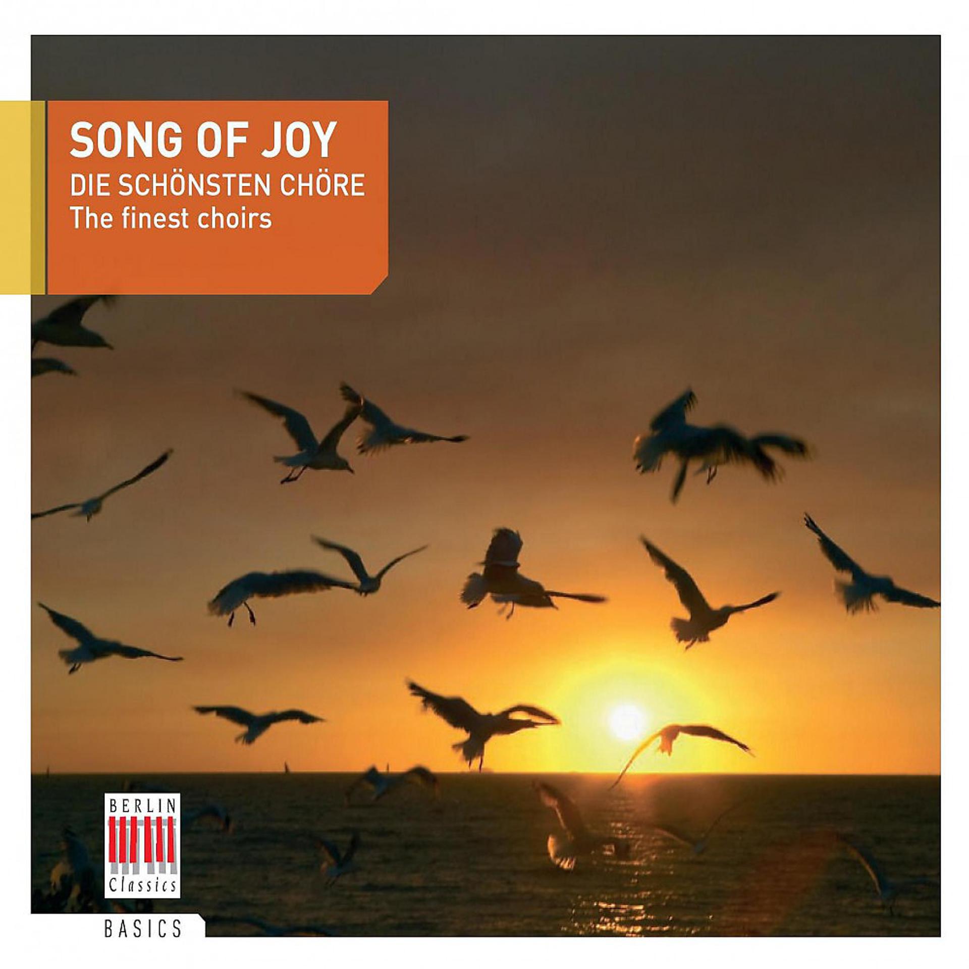 Постер альбома Song of Joy (The finest choirs)