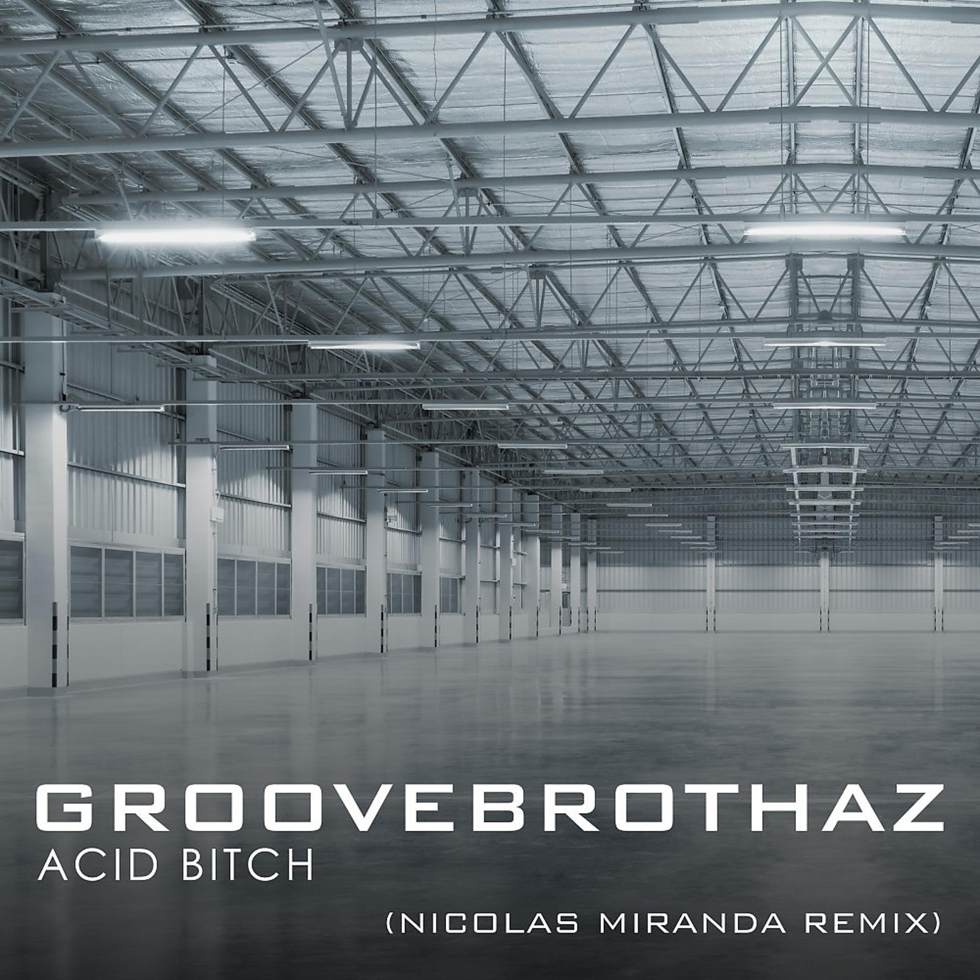 Постер альбома Acid Bitch (Nicolas Miranda Remix)