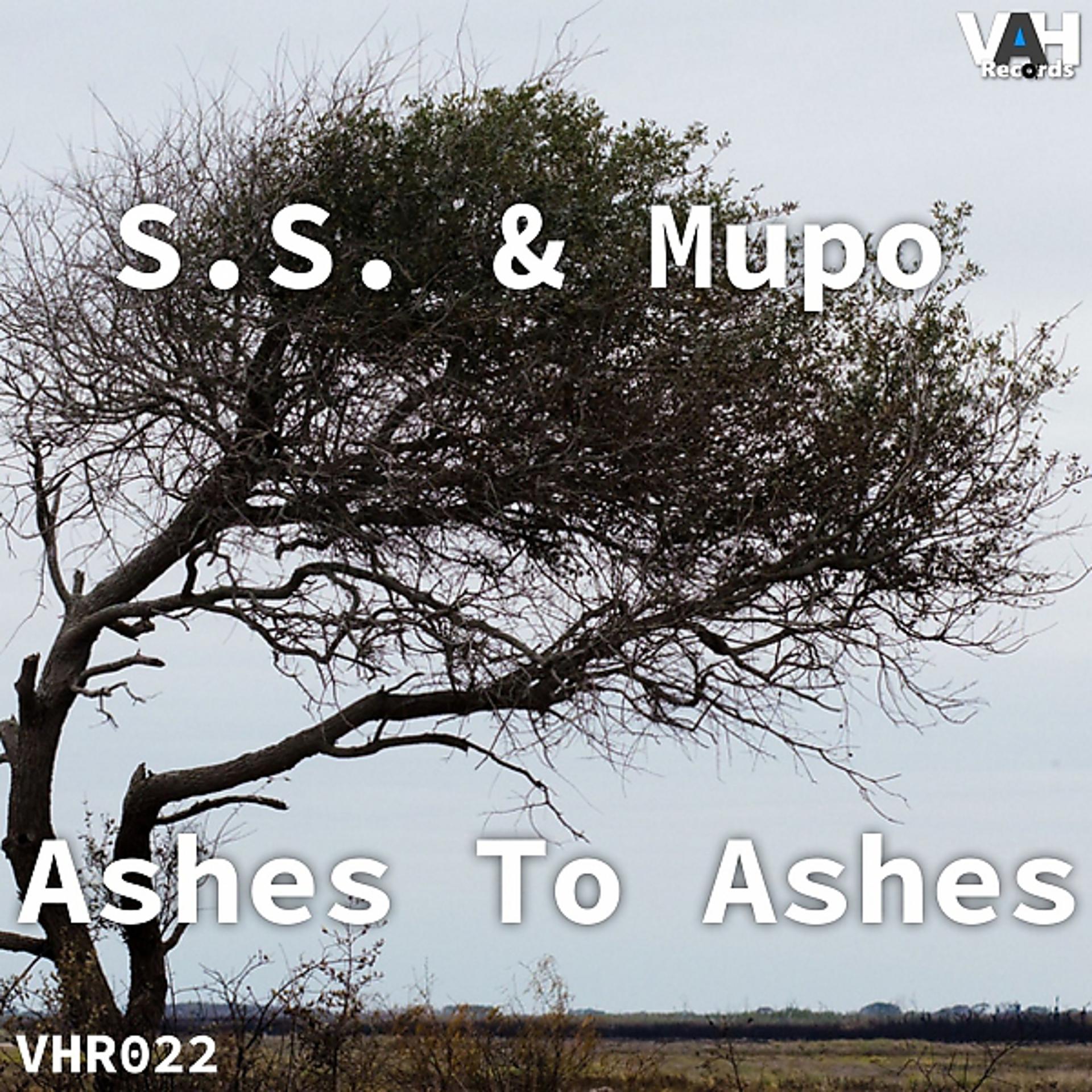 Постер альбома Ashes To Ashes EP