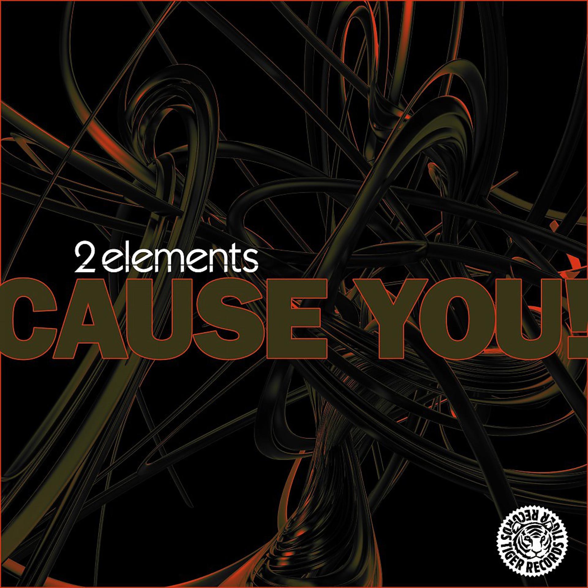 Постер альбома Cause You! (Remixes)