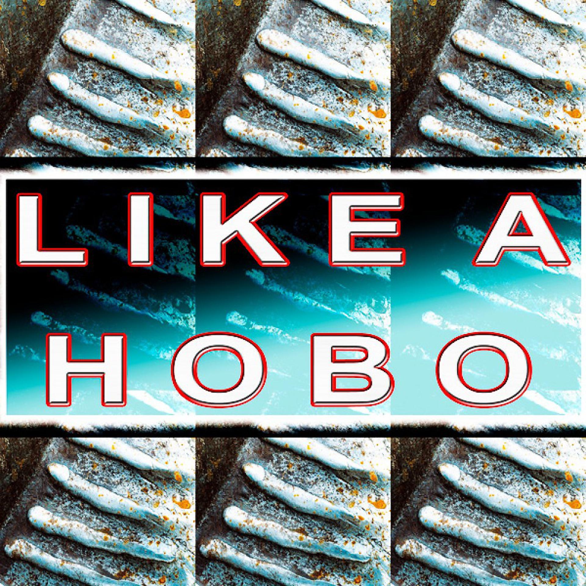 Постер альбома Like a Hobo