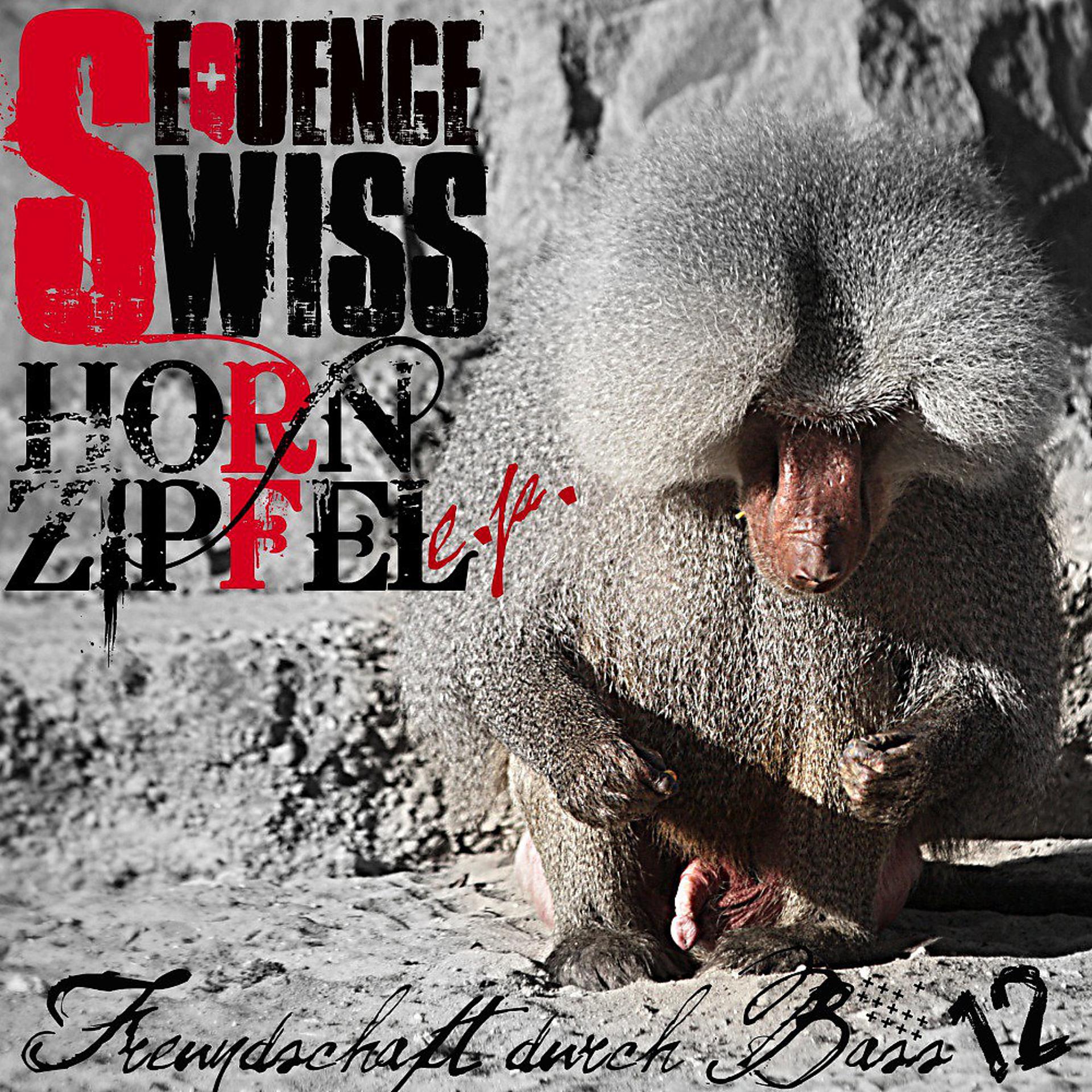 Постер альбома Hornzipfel