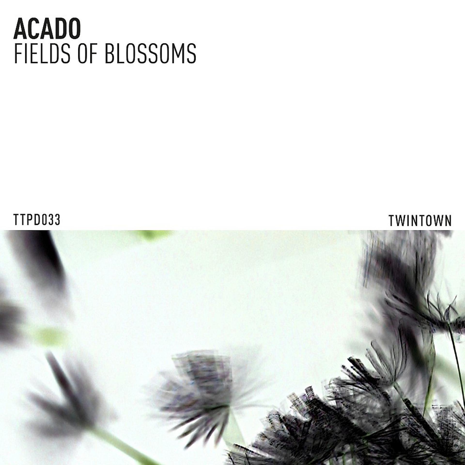 Постер альбома Fields of Blossoms