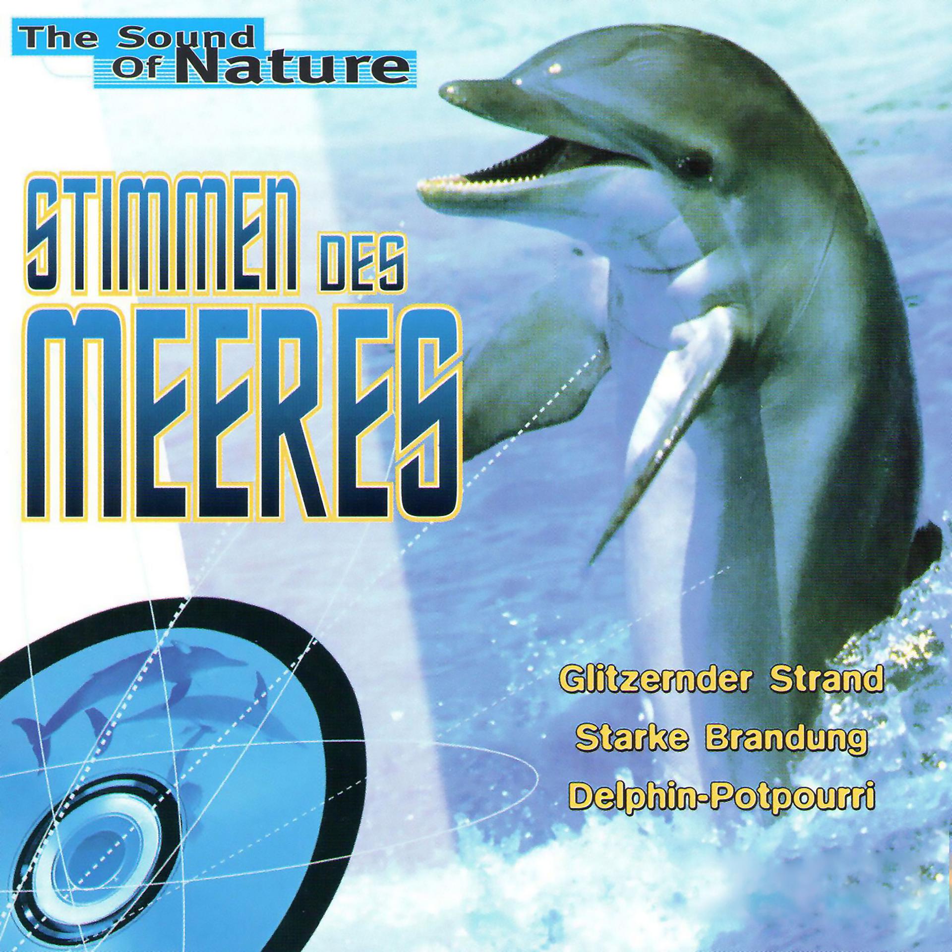 Постер альбома Stimmen des Meeres