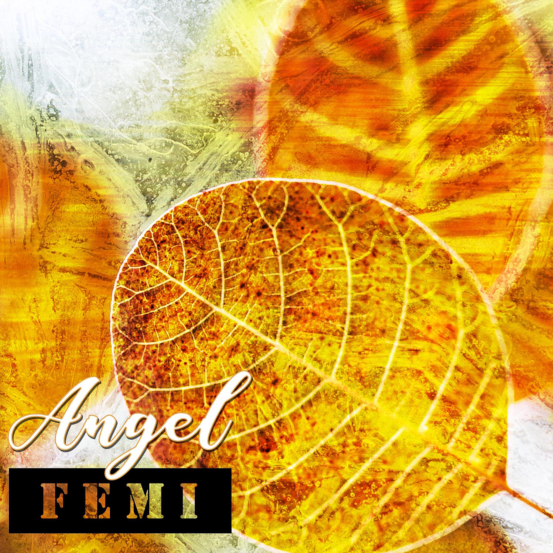 Постер альбома Femi