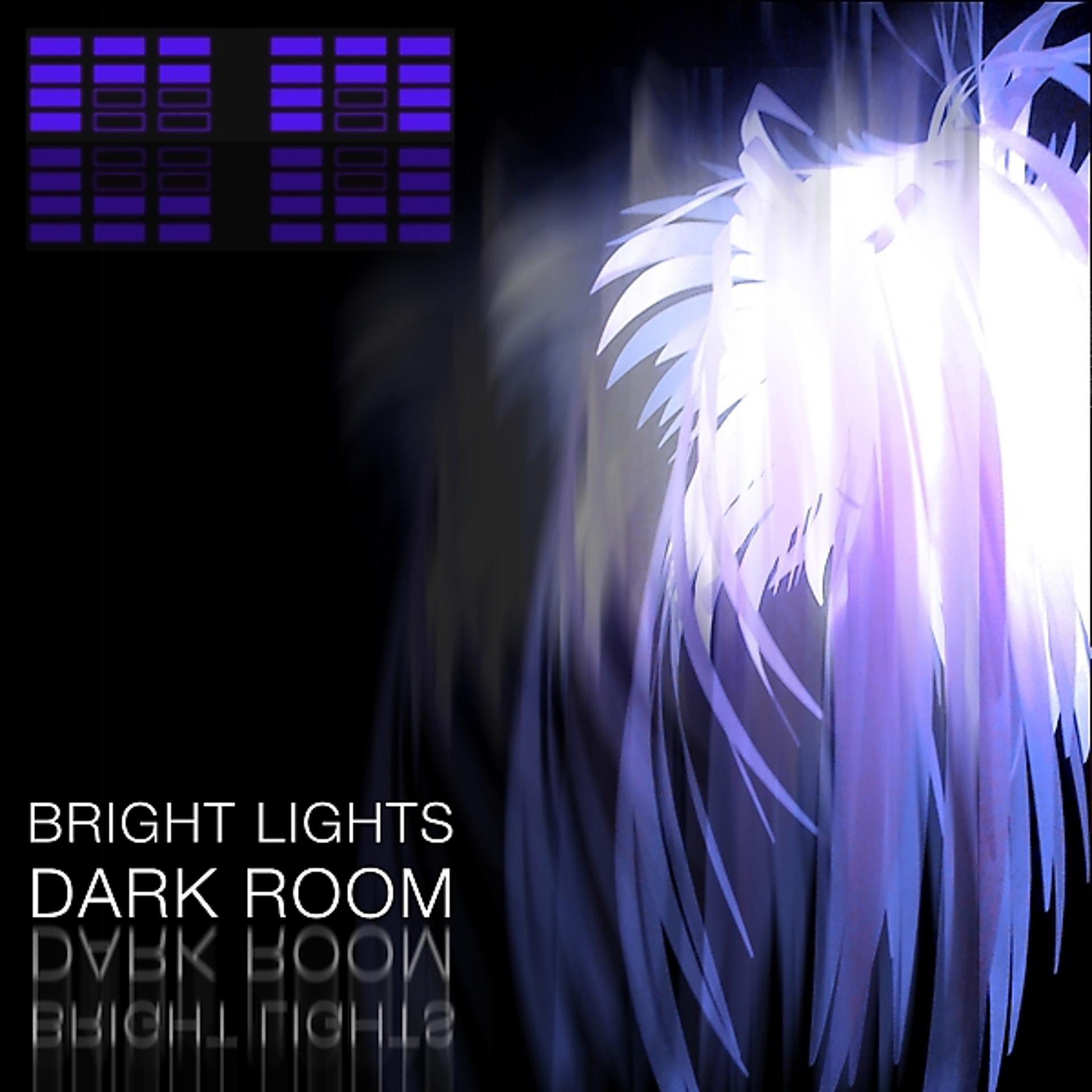 Постер альбома Bright Lights Dark Room