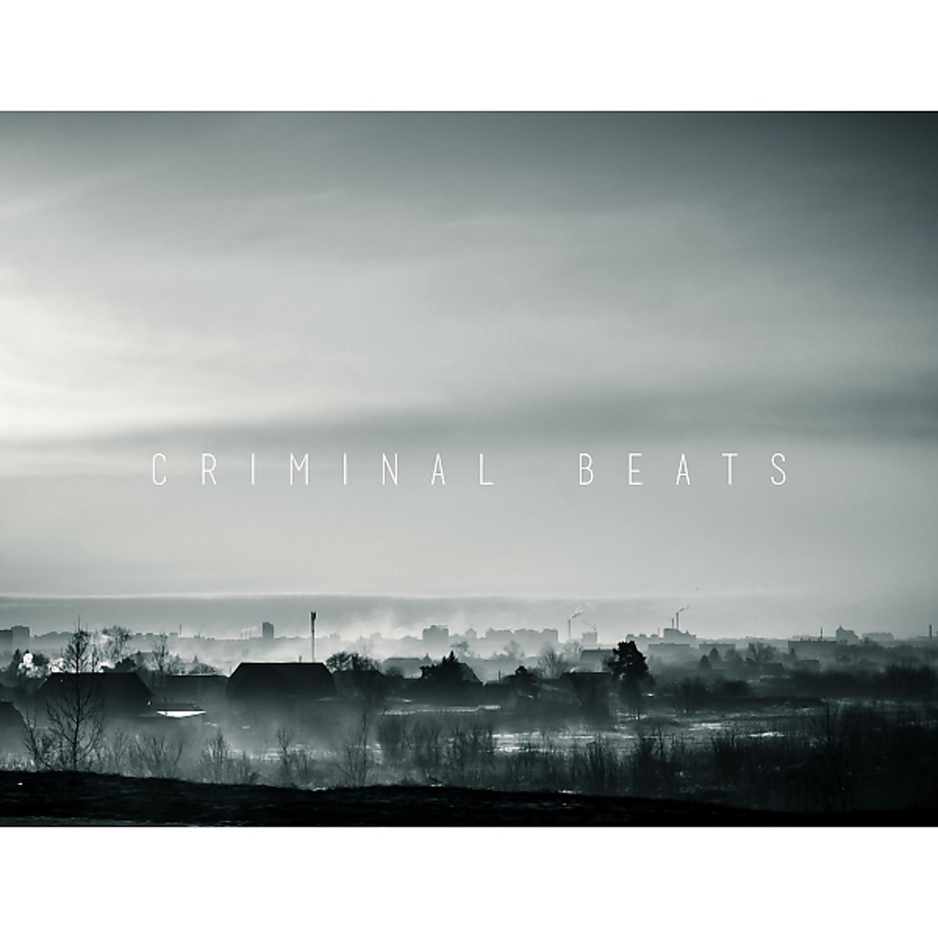 Постер альбома Criminous Beats
