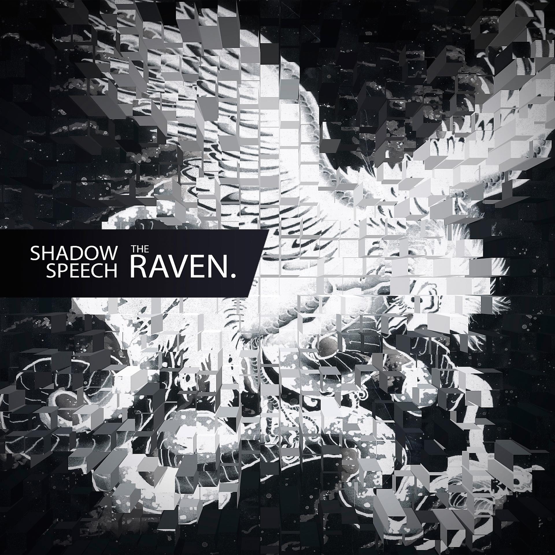 Постер альбома The Raven