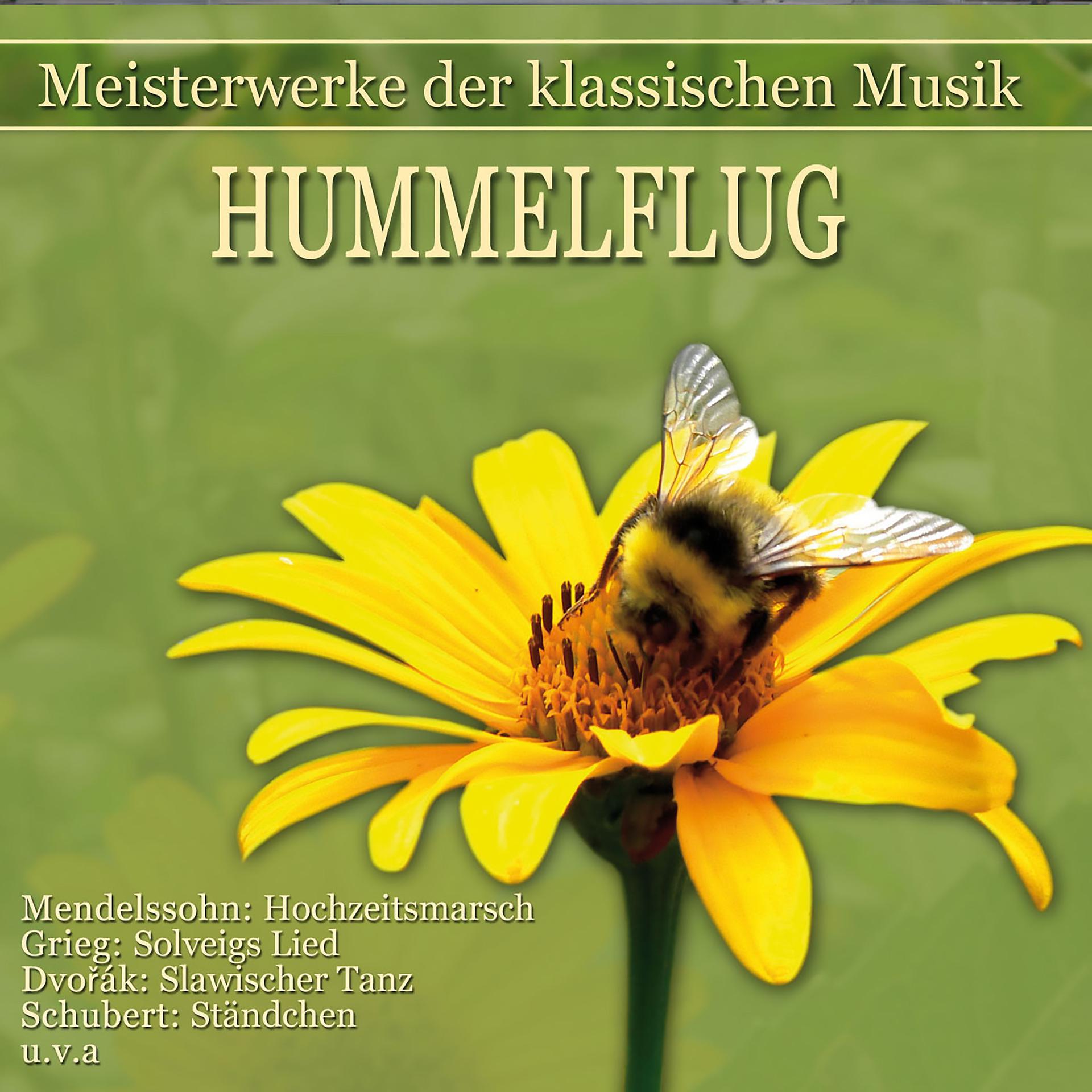Постер альбома Meisterwerke der klassischen Musik: Hummelflug