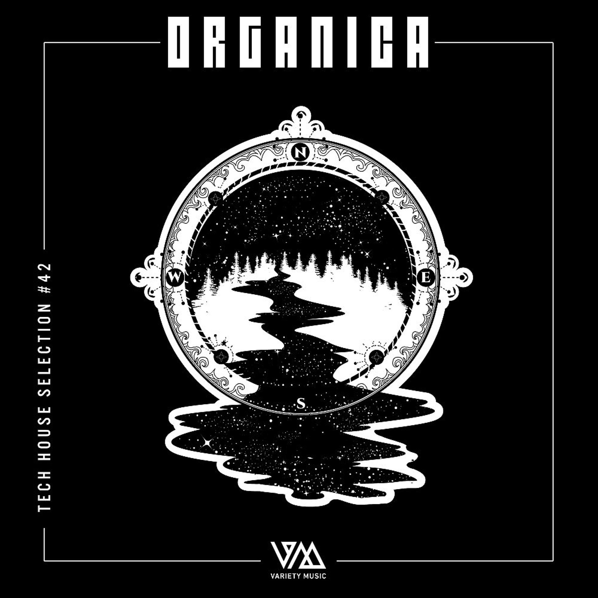 Постер альбома Organica #42