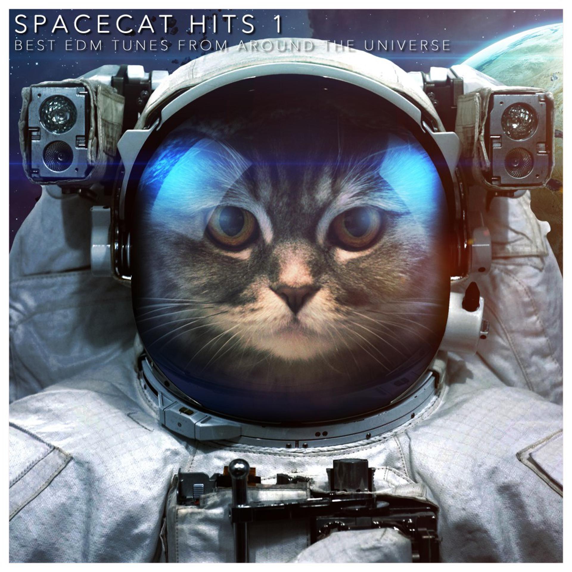 Постер альбома Spacecat Hits 1 (Best EDM Tunes from Around the Universe)