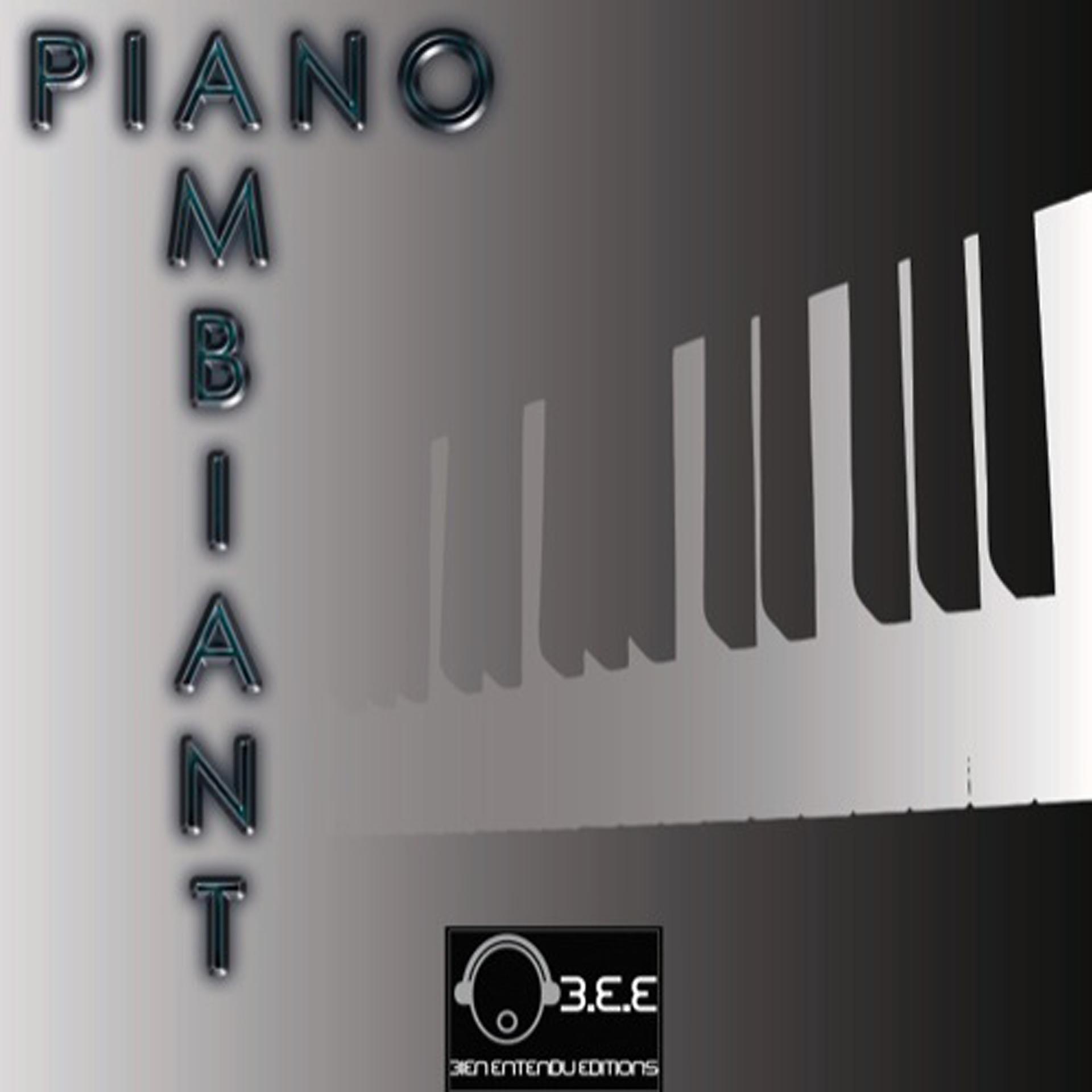 Постер альбома Piano Ambiant