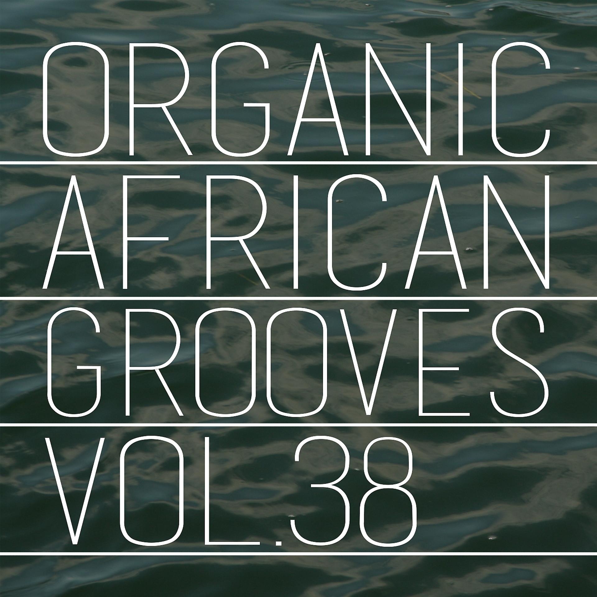 Постер альбома Organic African Grooves, Vol.38