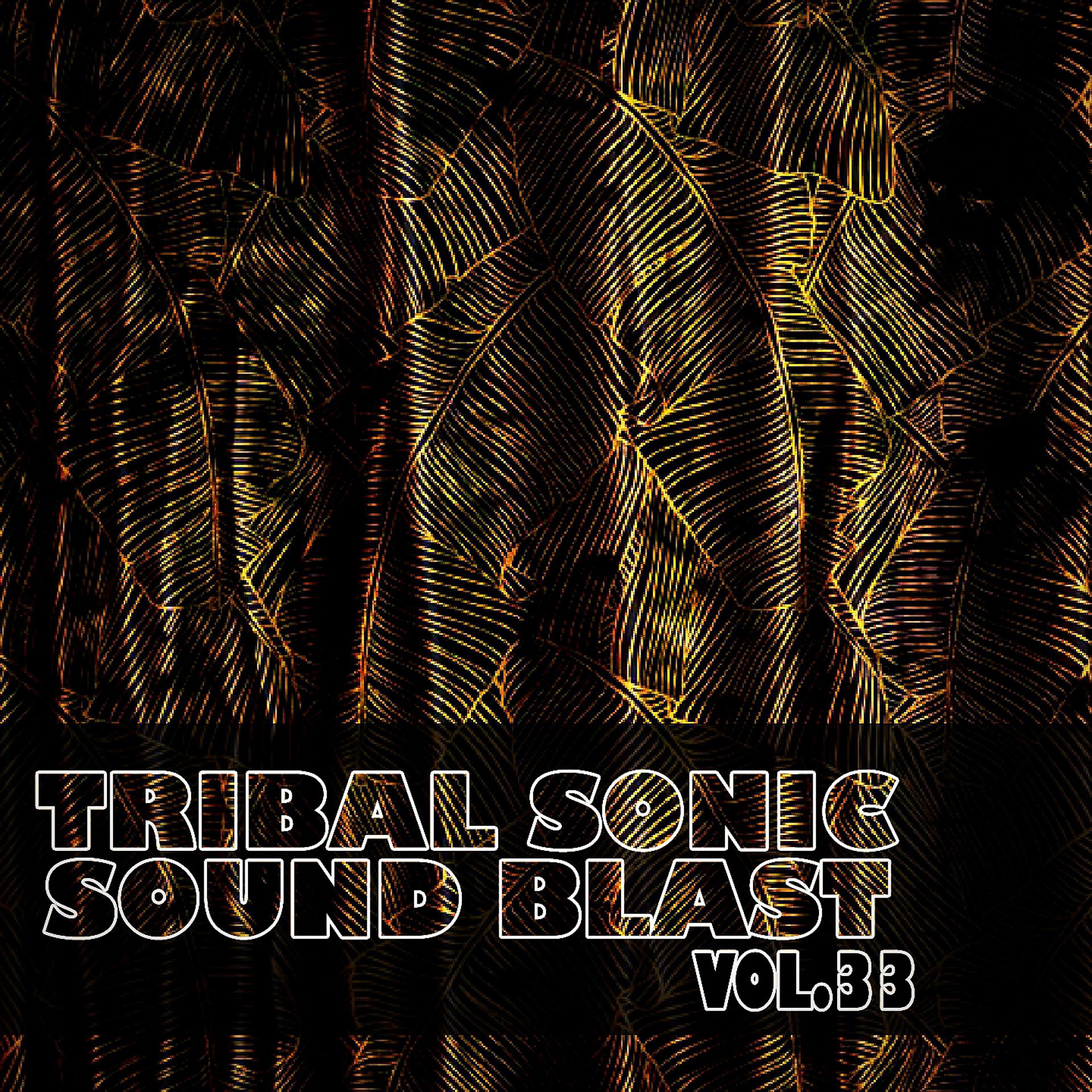 Постер альбома Tribal Sonic Soundblast,Vol.33