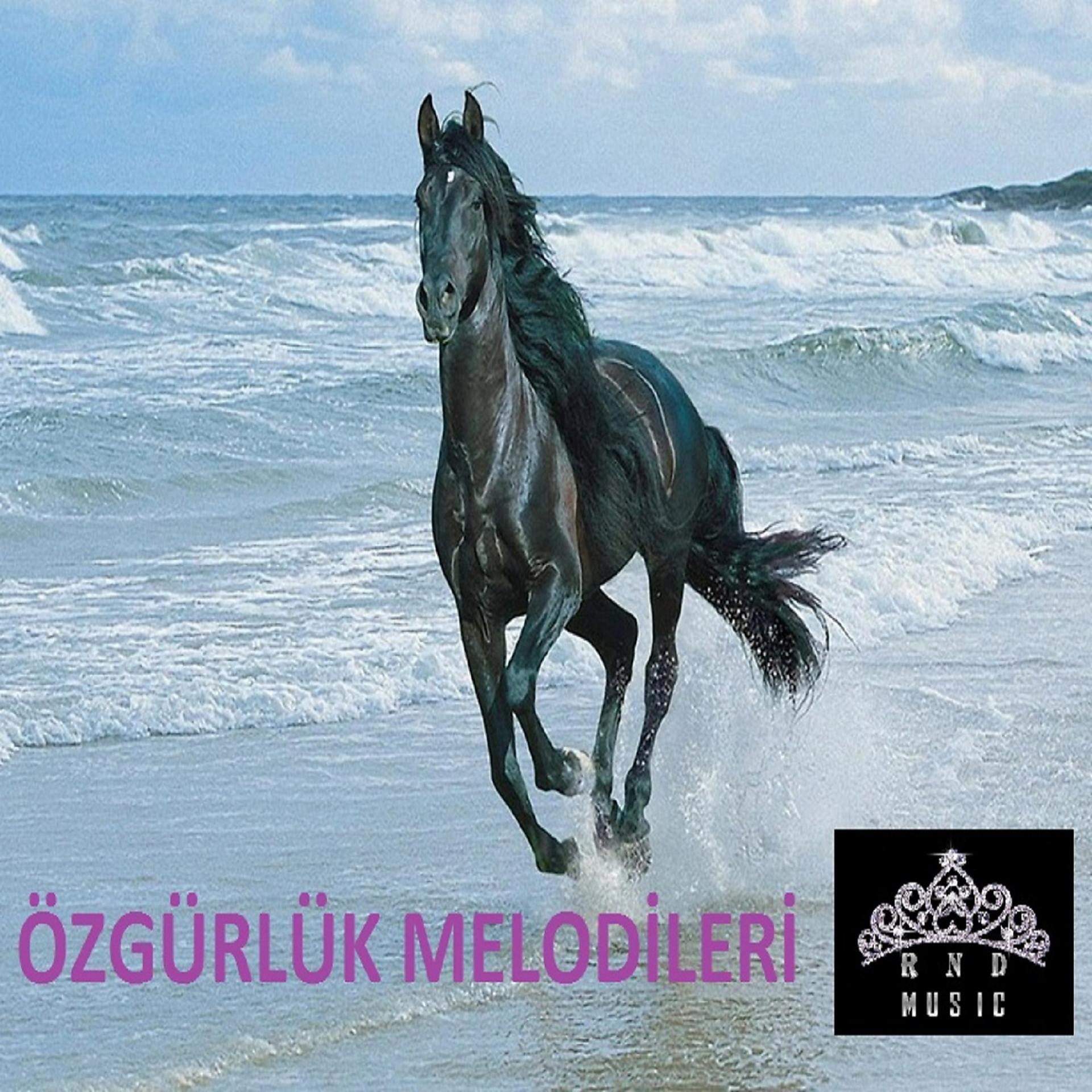 Постер альбома Özgürlük Melodileri