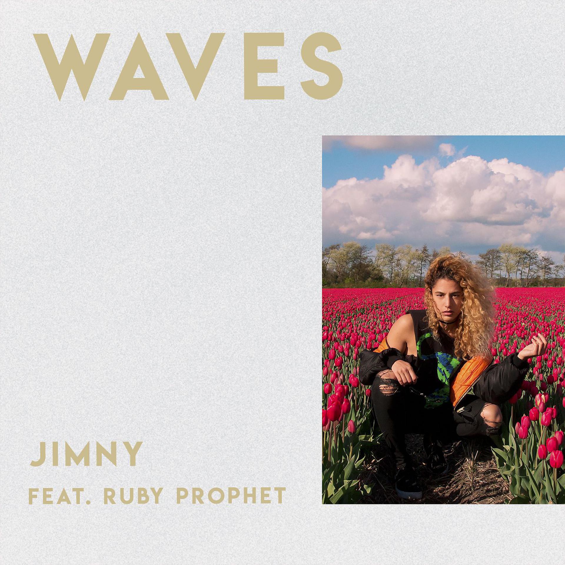 Постер альбома Waves (feat. Ruby Prophet)