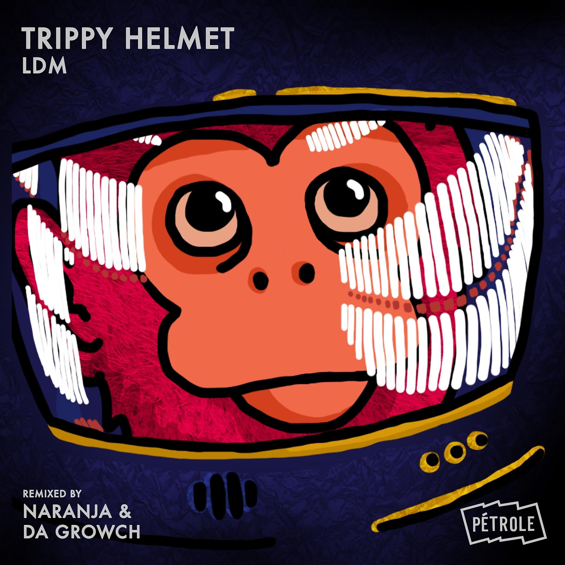 Постер альбома Trippy Helmet