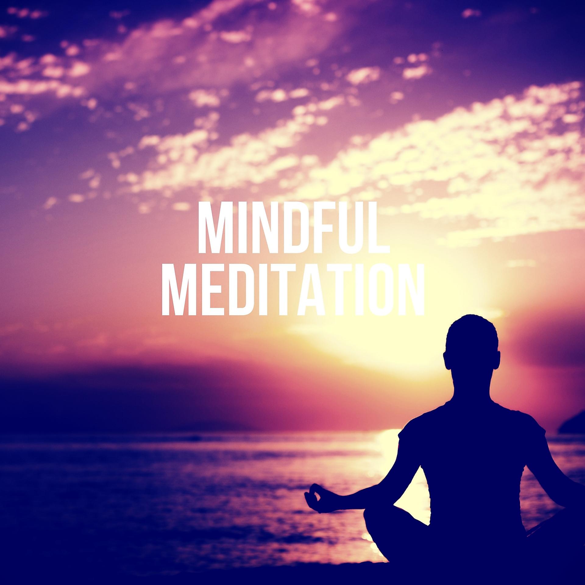 Постер альбома Mindful Meditation
