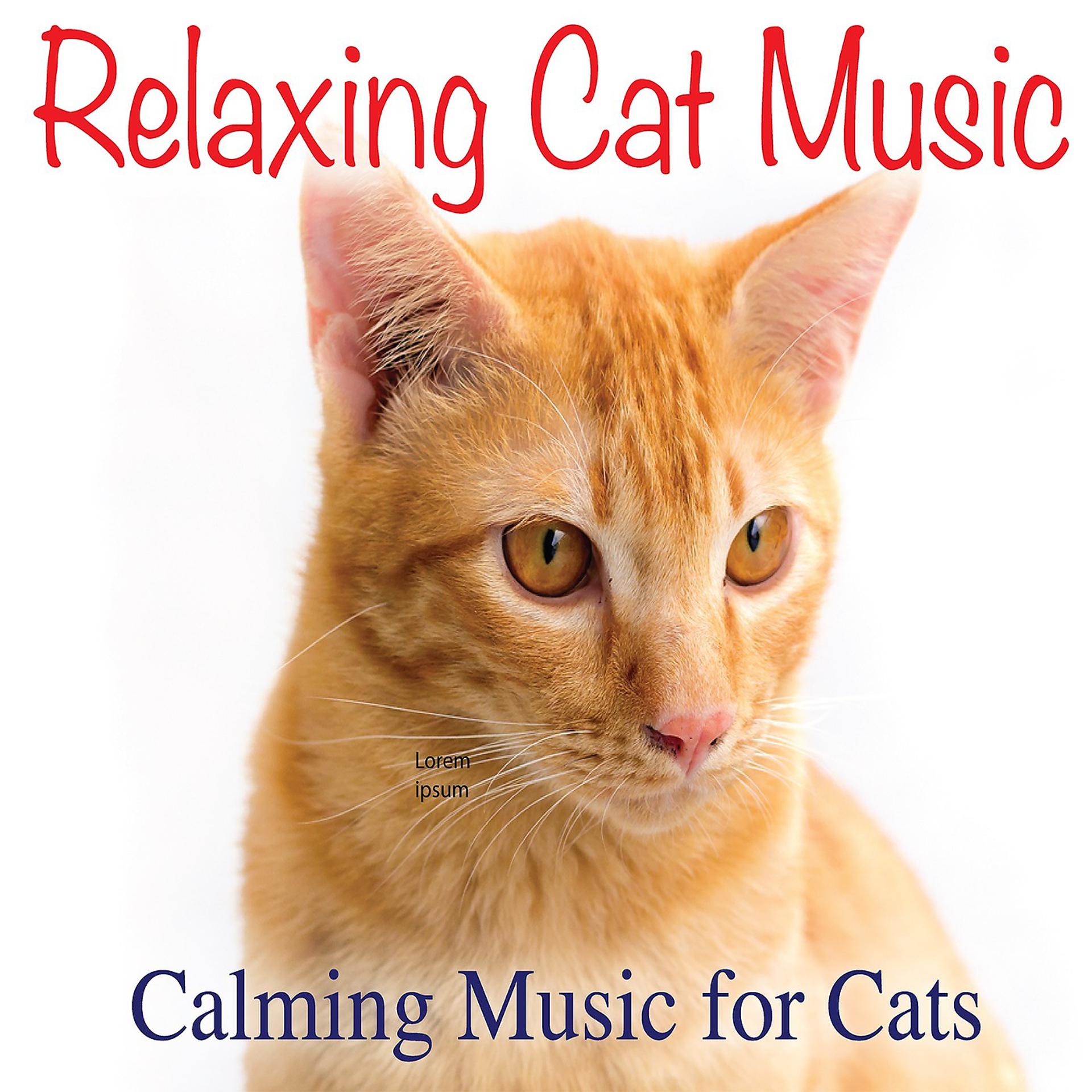 Постер альбома Relaxing Cat Music: Calming Music for Cats