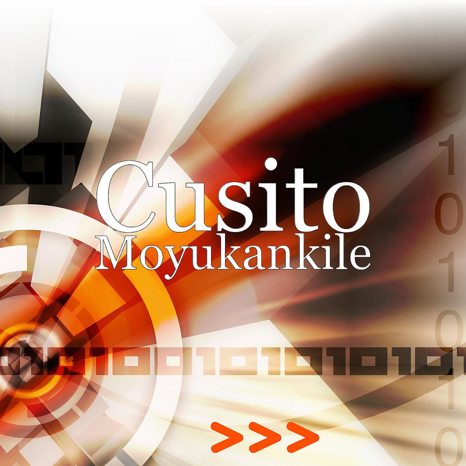 Постер альбома Moyukankile
