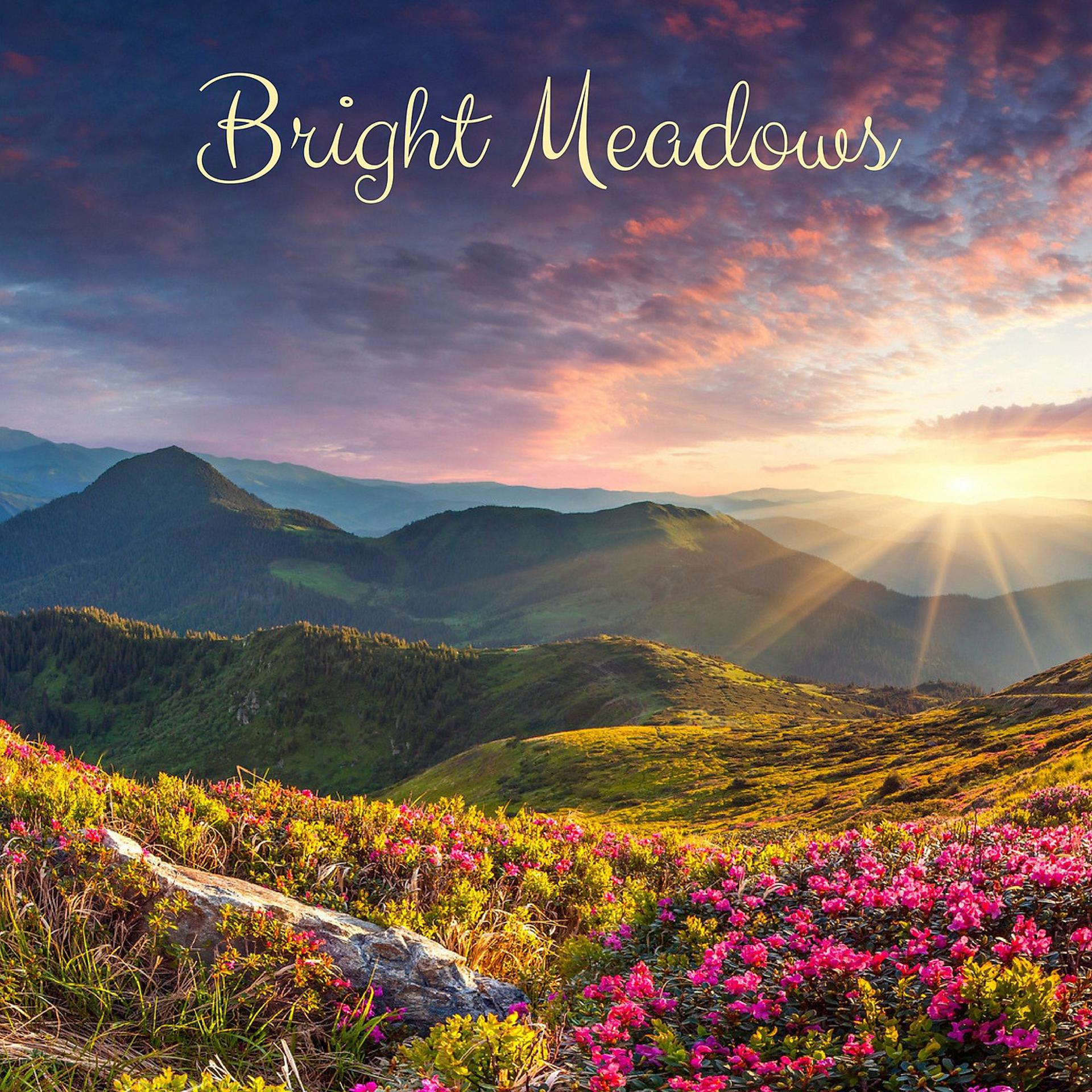 Постер альбома Bright Measows