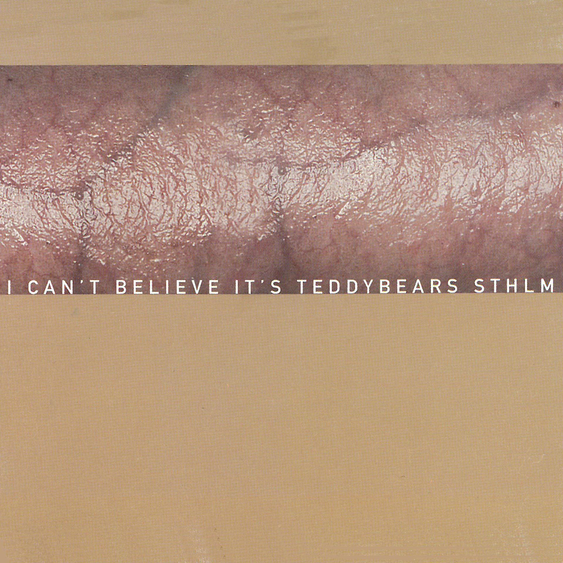 Постер альбома I Can't Believe It's Teddybears STHLM