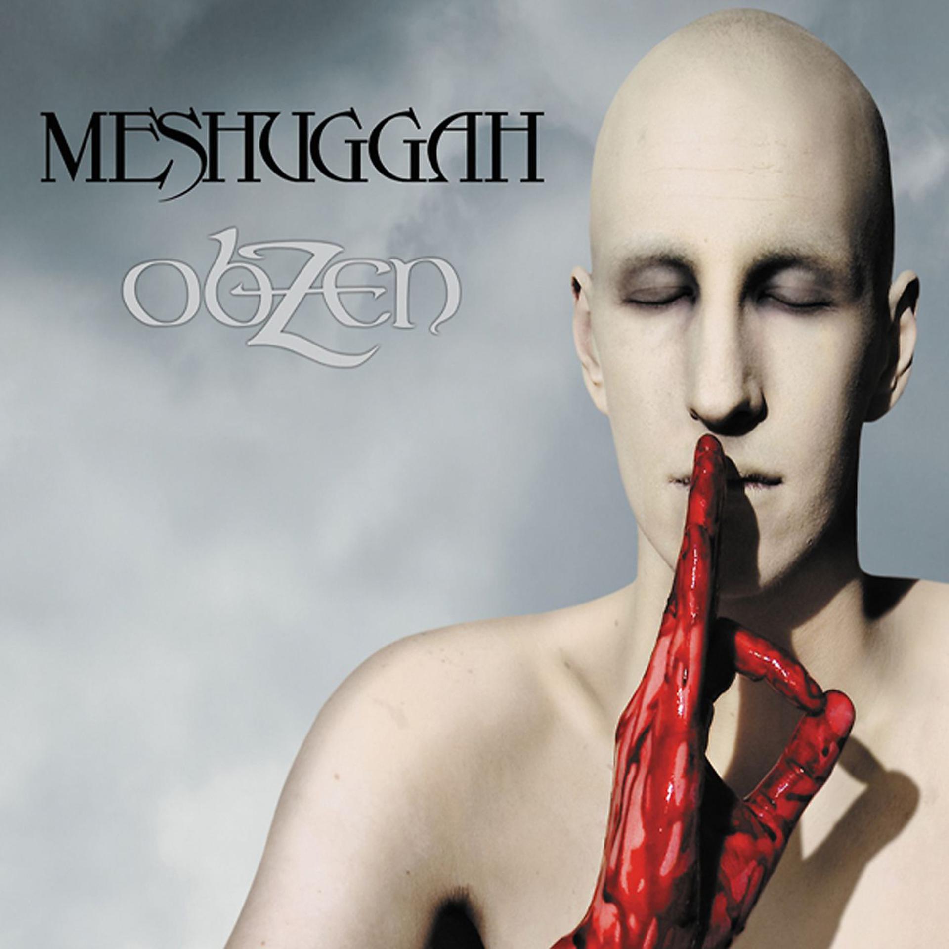 Постер альбома ObZen