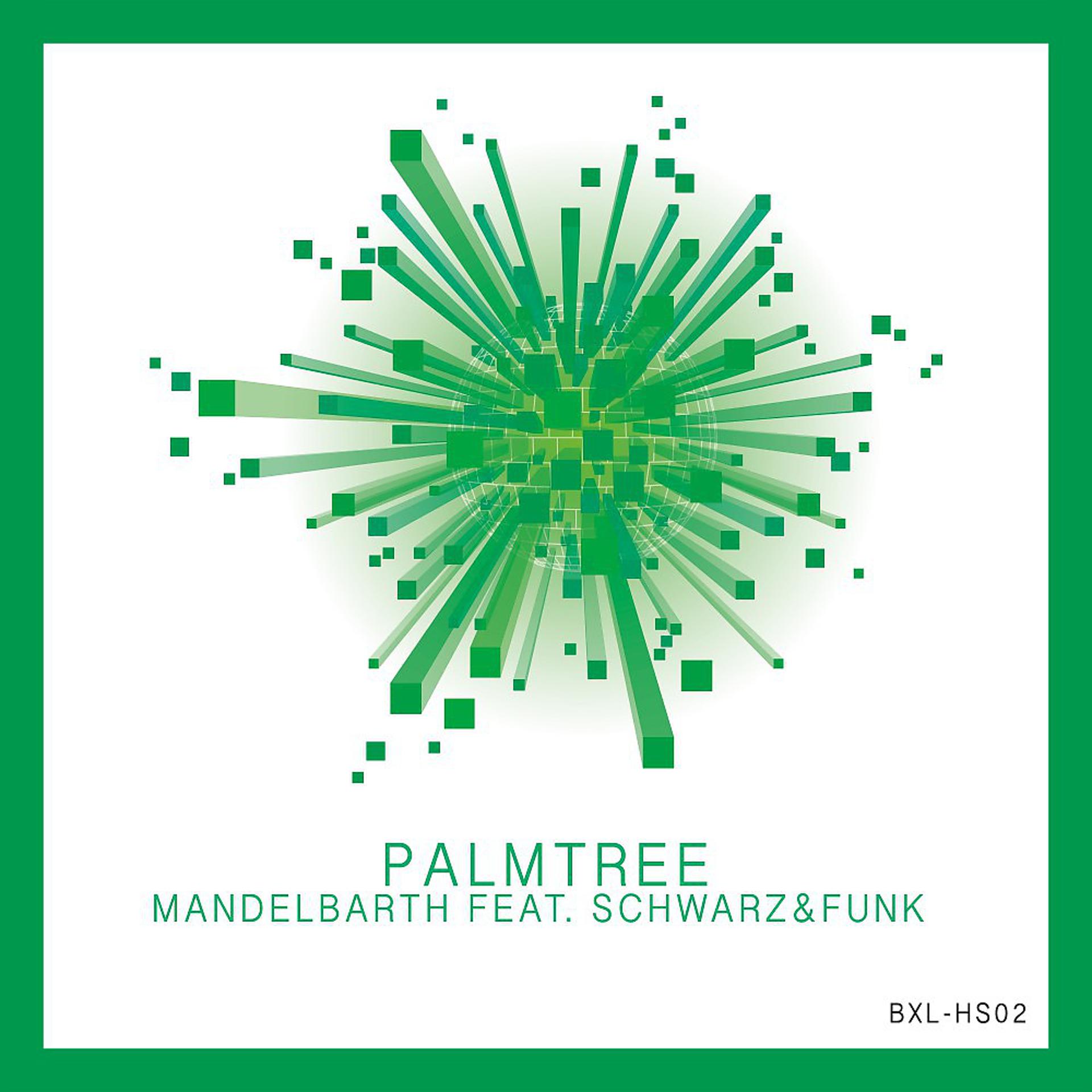 Постер альбома Palmtree (Schwarz & Funk Remix)