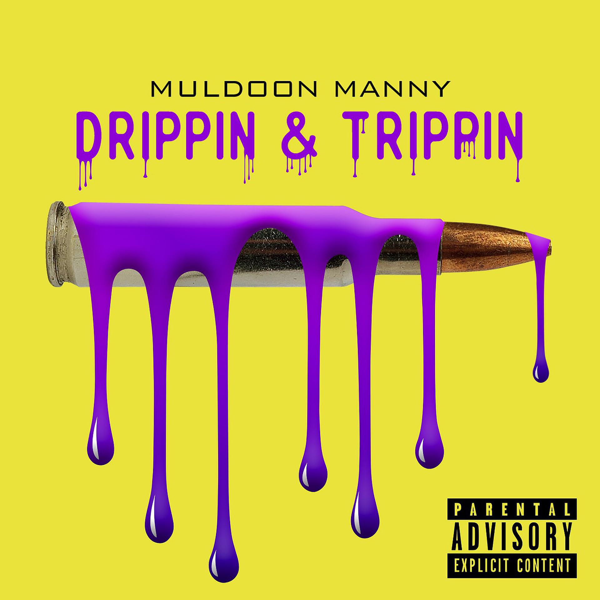 Постер альбома Drippin & Trippin