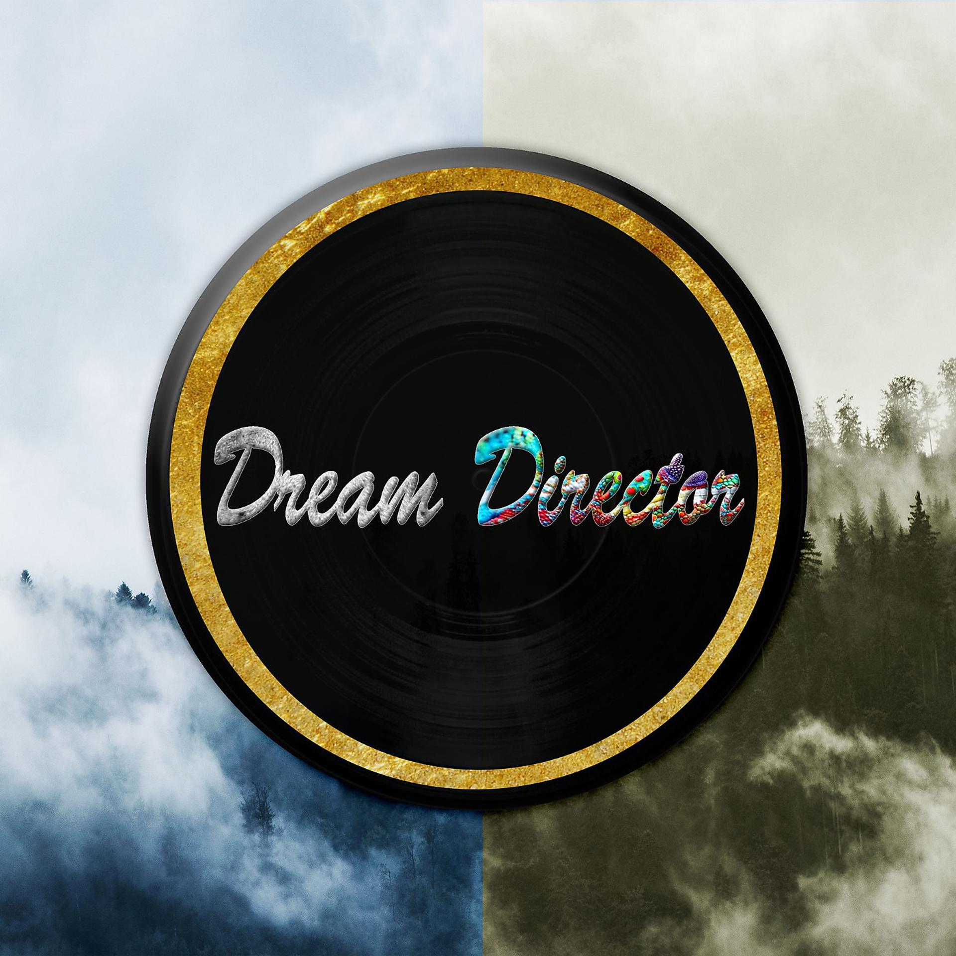Постер альбома Dream Director