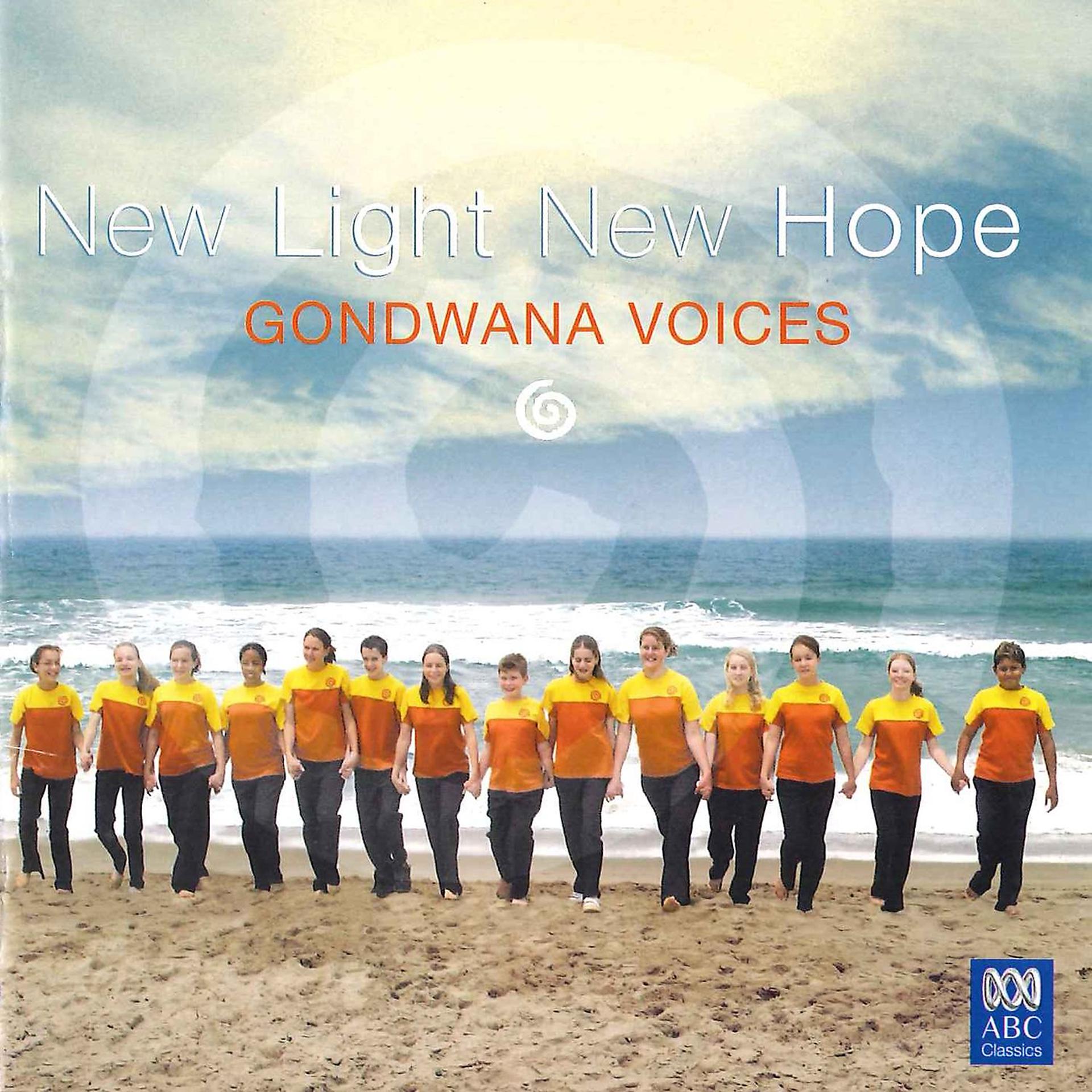 Постер альбома New Light New Hope