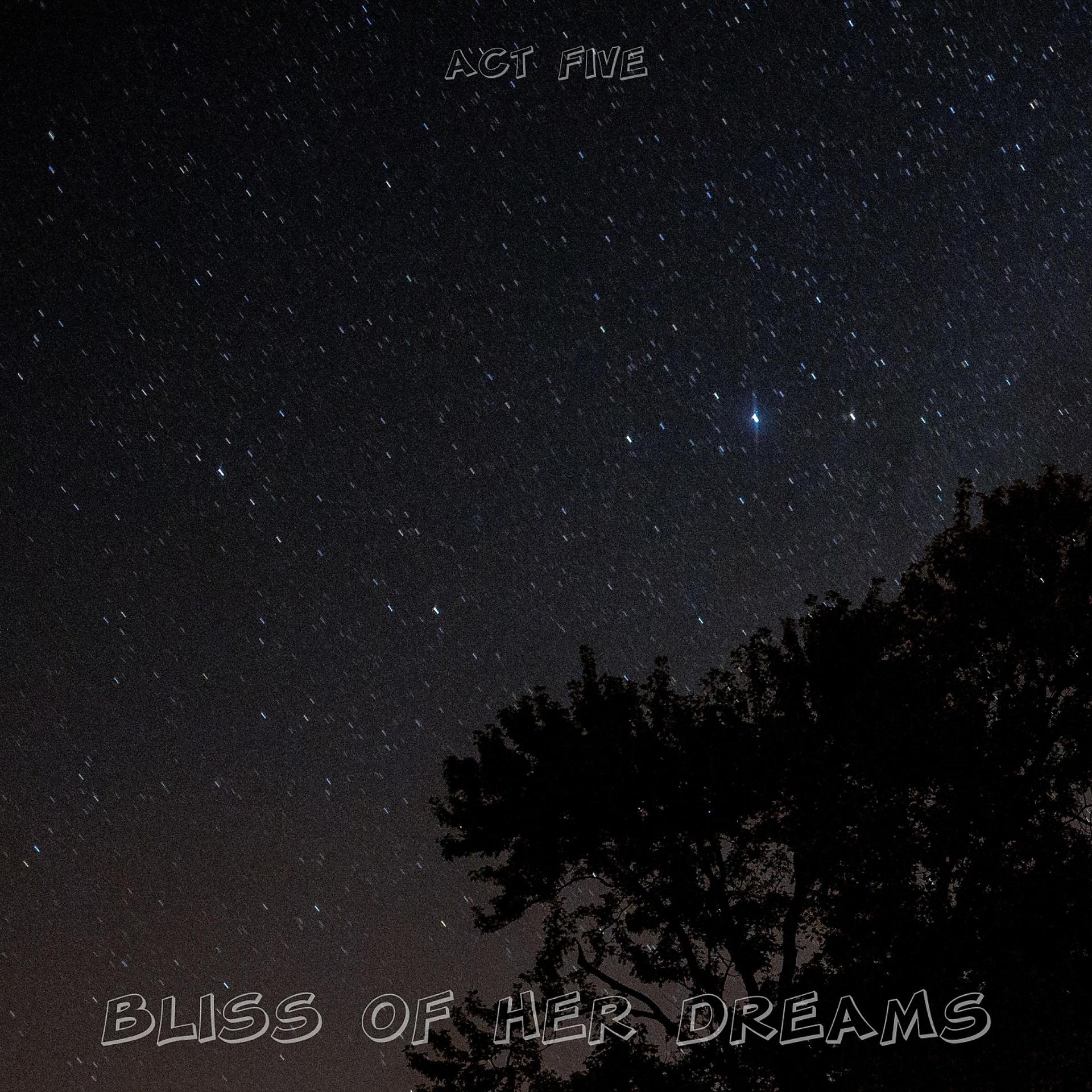 Постер альбома Bliss Of Her Dreams