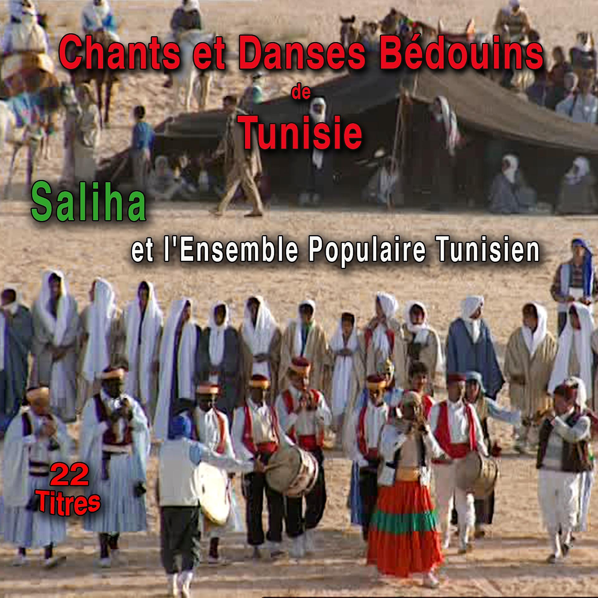 Постер альбома Chants Et Danses Bédouins De Tunisie