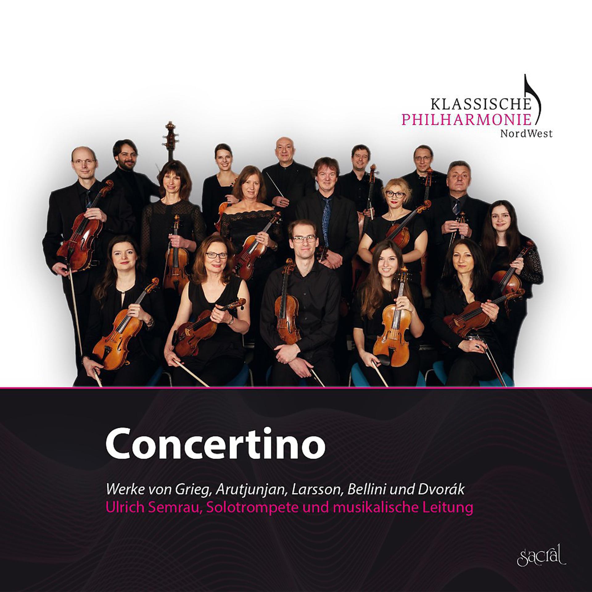 Постер альбома Concertino