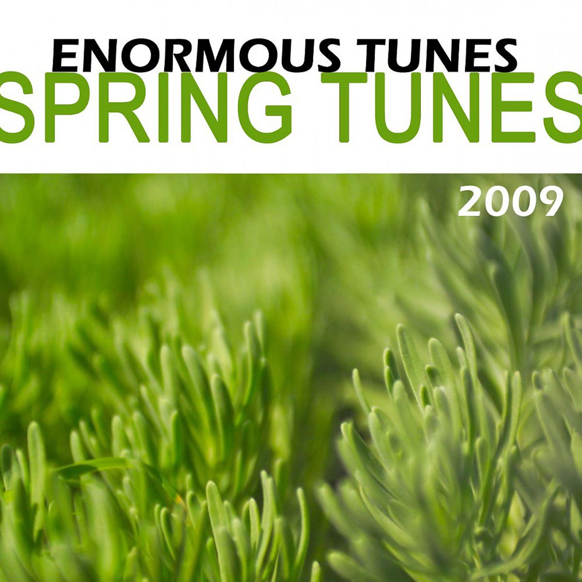 Постер альбома Spring Tunes 2009