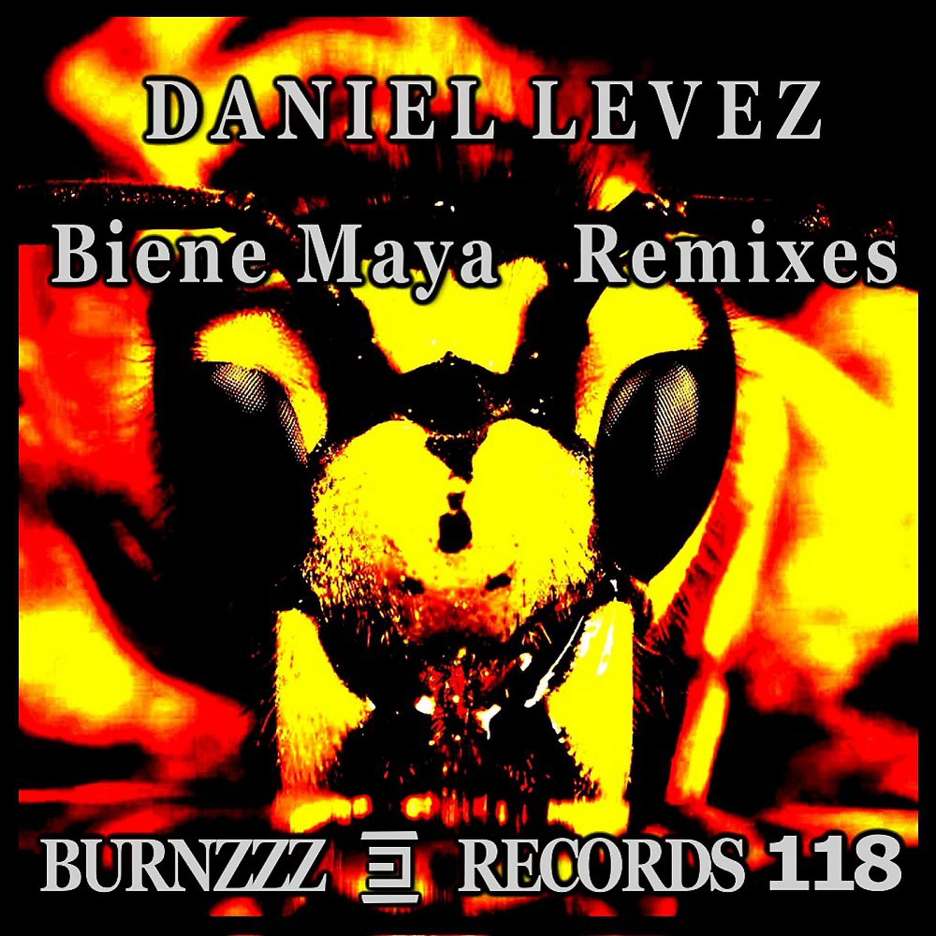 Постер альбома Biene Maya Remixes