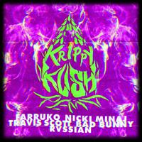 Постер альбома Krippy Kush (Travis Scott Remix)