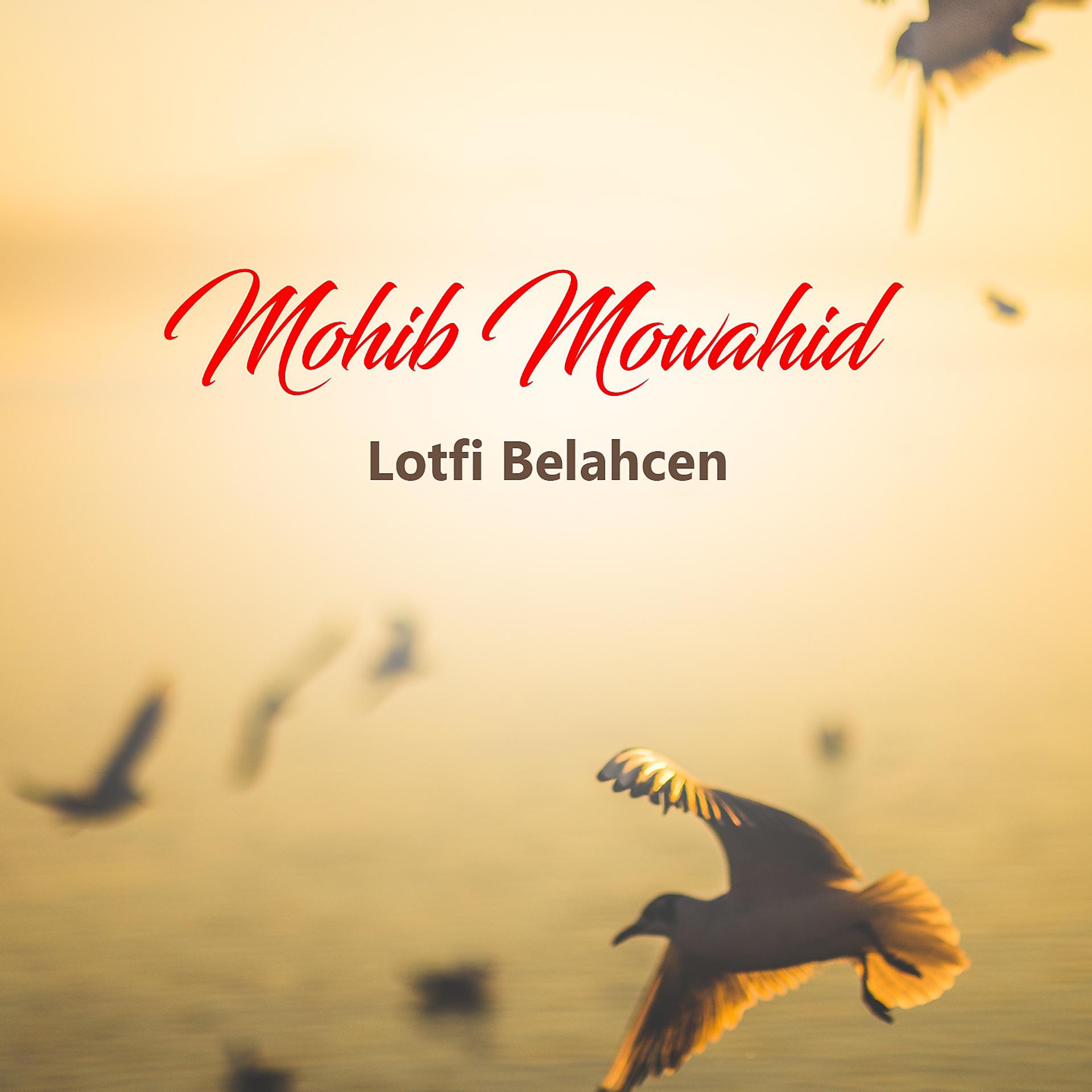 Постер альбома Mohib Mowahid