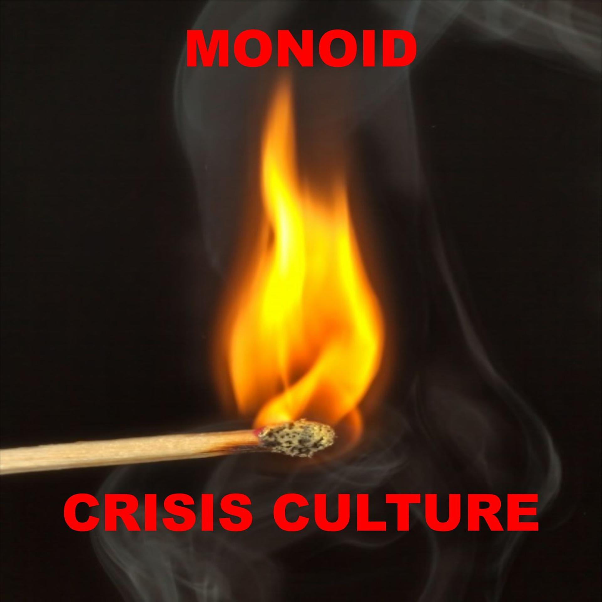 Постер альбома Crisis Culture