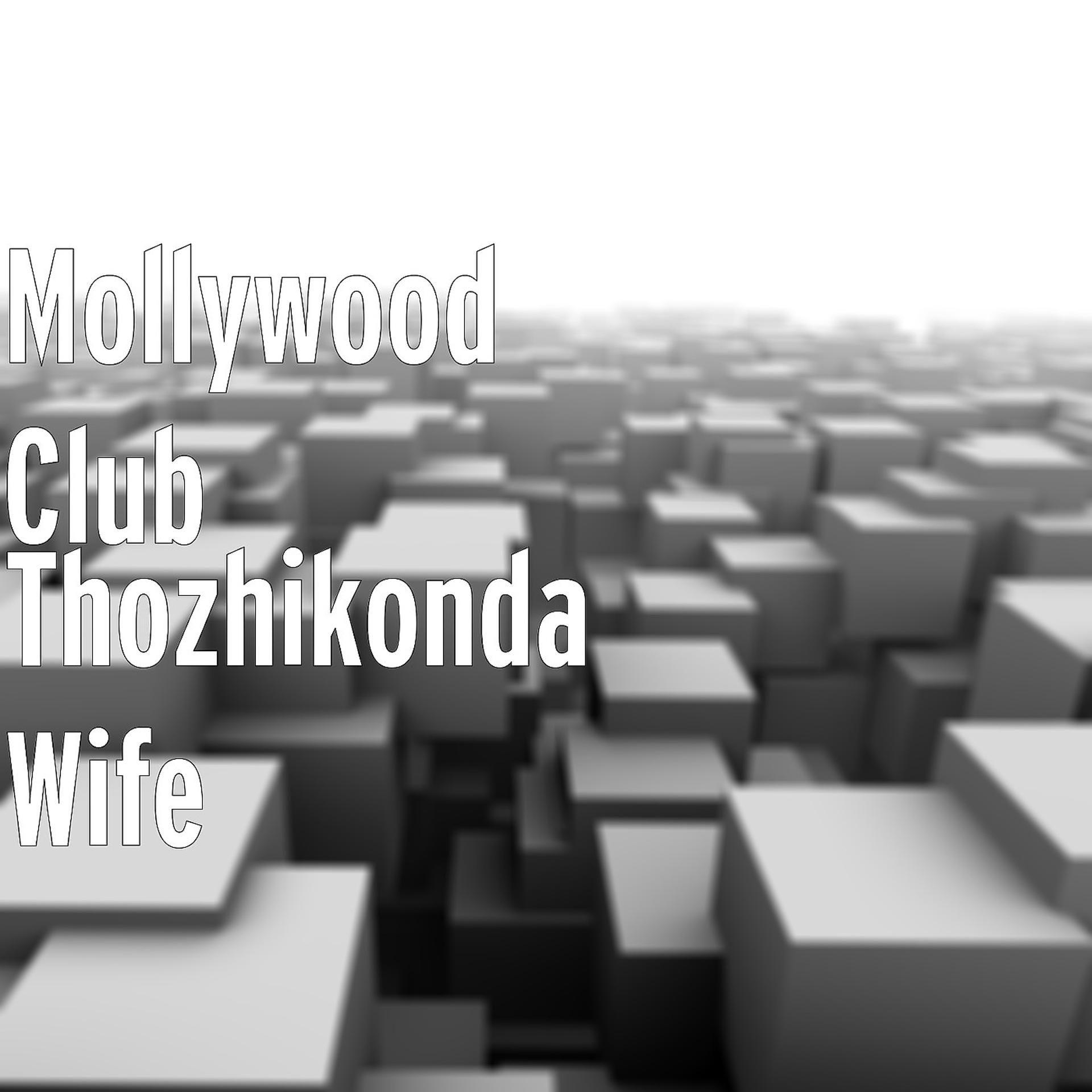 Постер альбома Thozhikonda Wife
