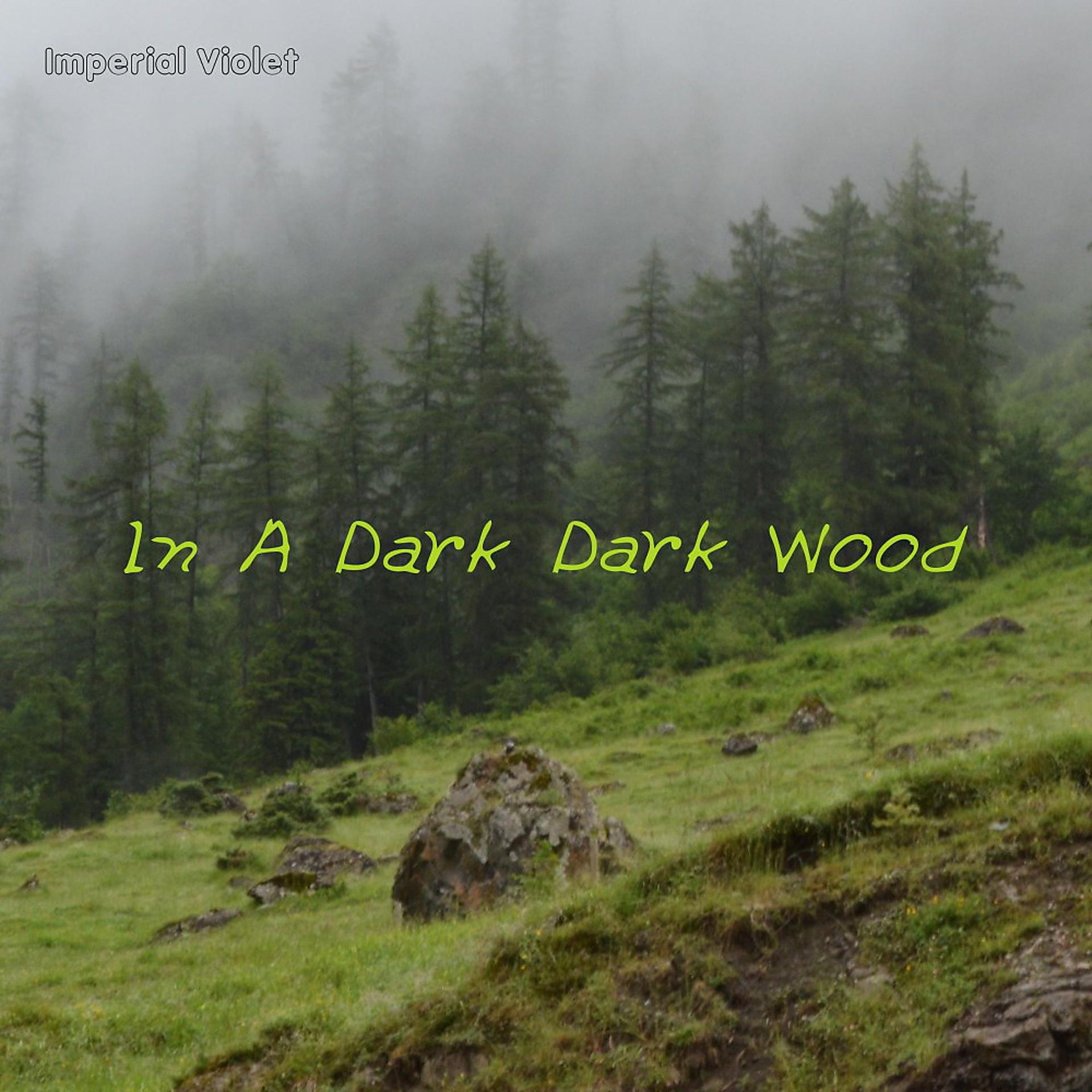 Постер альбома In a Dark Dark Wood