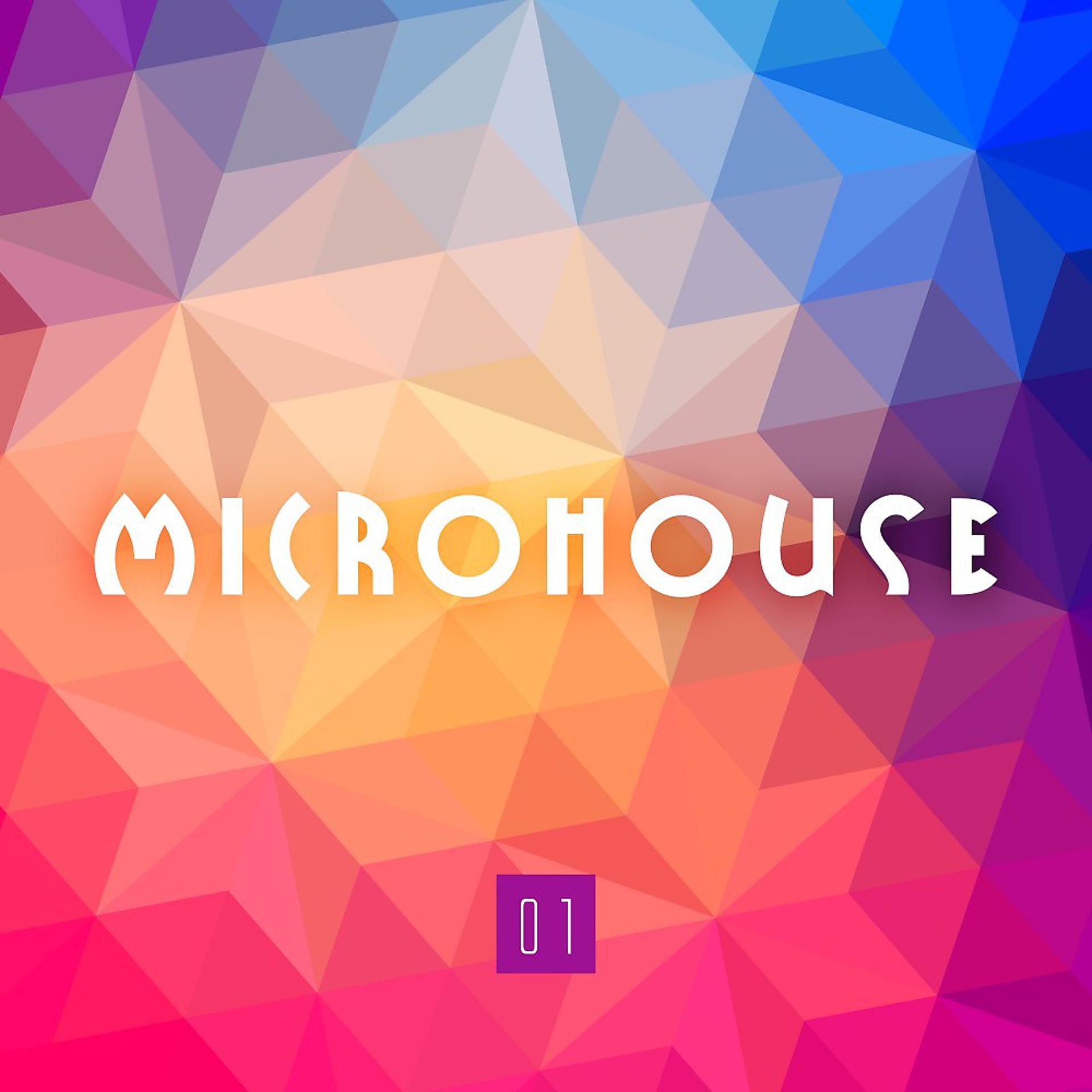 Постер альбома Microhouse 01
