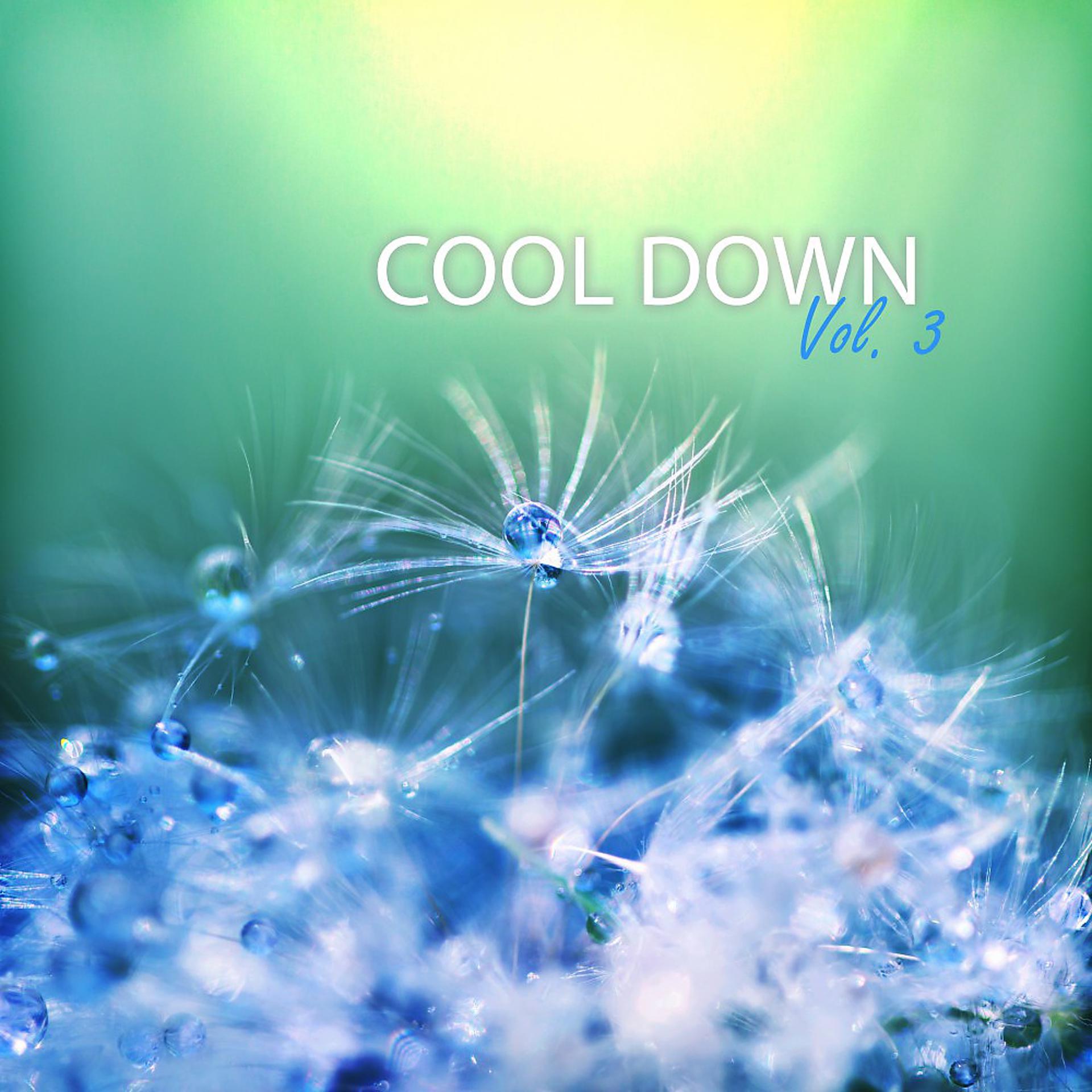 Постер альбома Cool Down, Vol. 3